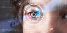 datos biometricos oculares