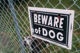 El mito es real: 5.300 carteros fueron atacados por perros en Estados Unidos en 2022