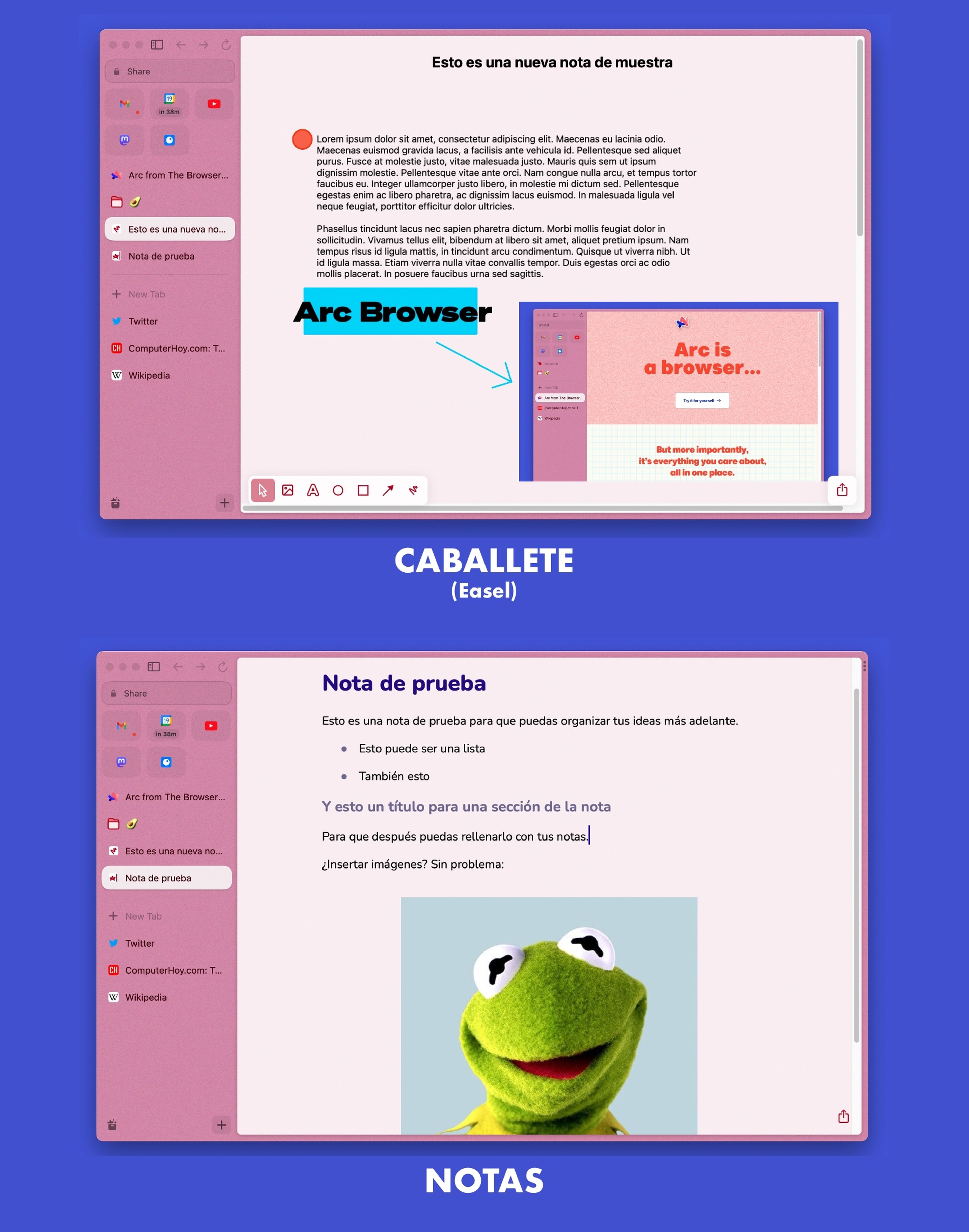 Captura de pantalla de caballete y notas de Arc Browser