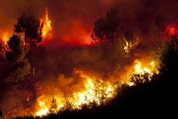 El drama del cambio climático no es el calor, son los incendios: en Canadá se ha quemado la quinta parte de España