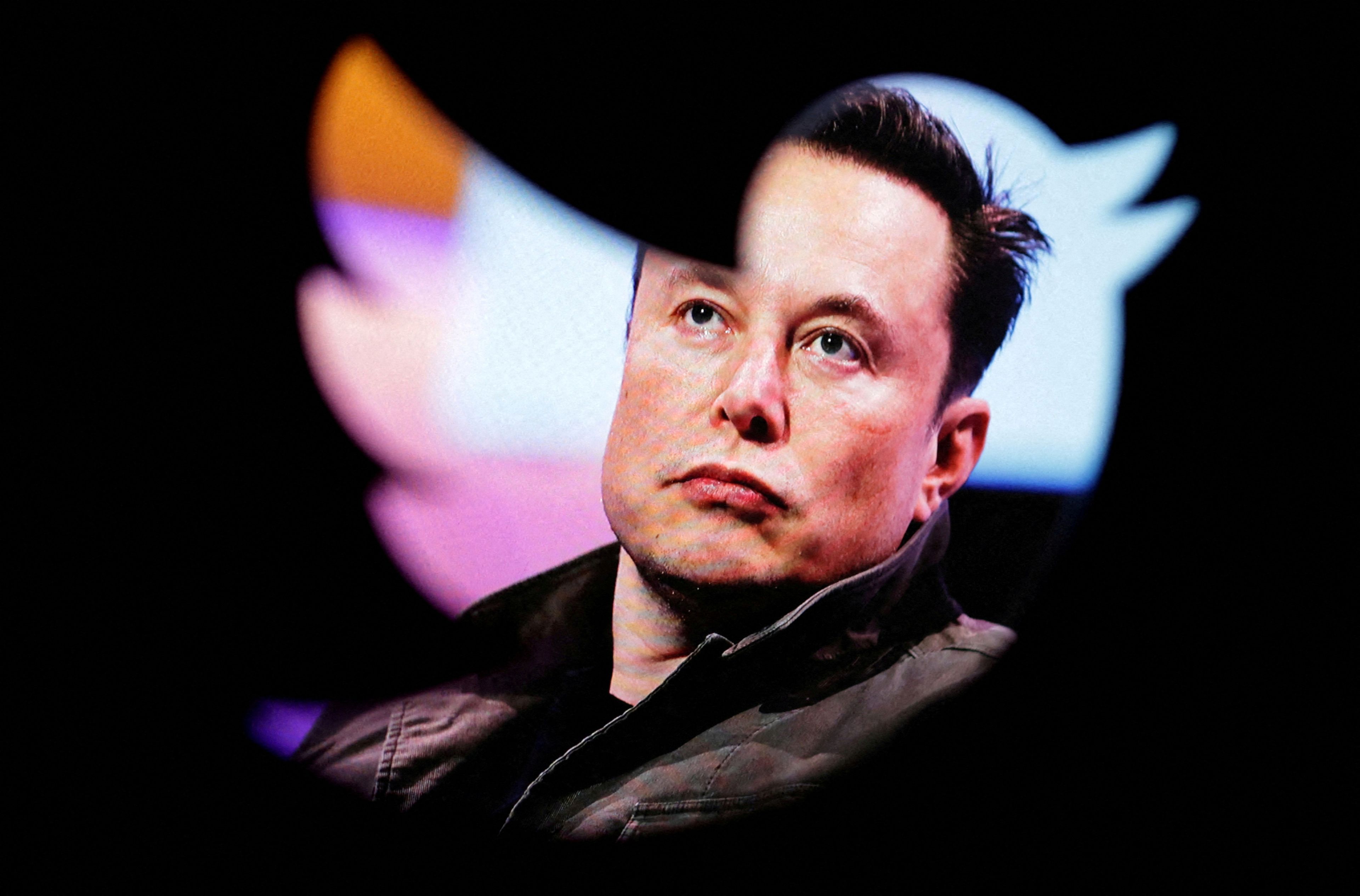 Elon Musk, tras el logo de Twitter.