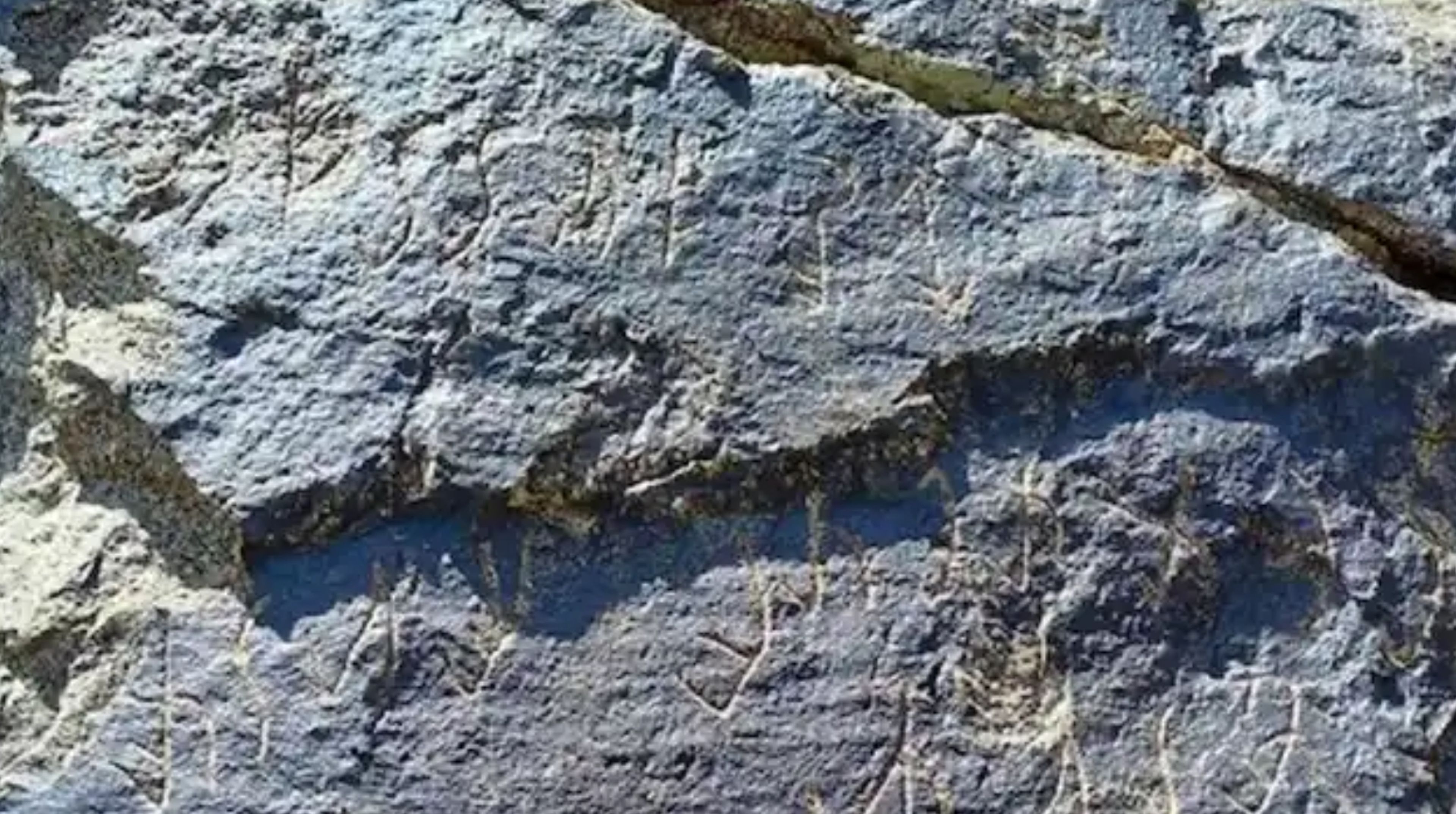 Недавно ученые расшифровали надпись обнаруженную. Стена в Австралии. Кушанское царство артефакты. Кушанские письмена. Deciphering Ancient Minds.