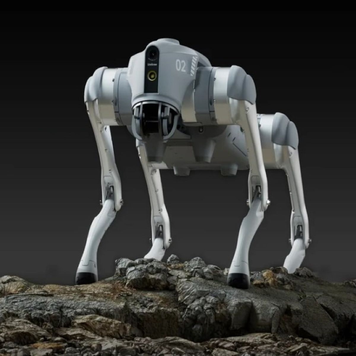 Este perro robot es capaz de mantener conversaciones con humanos y ofrecer  respuestas gracias a ChatGPT
