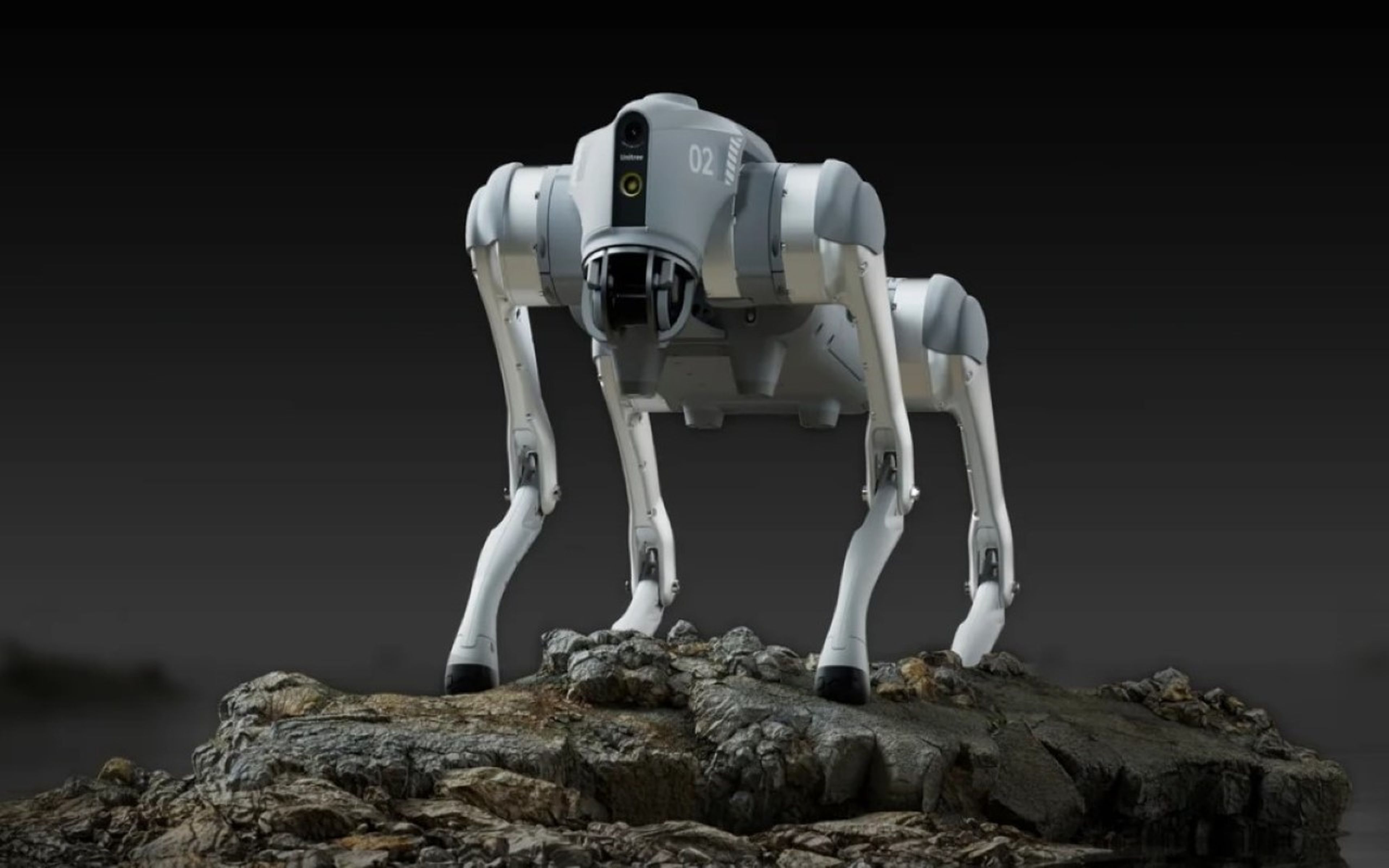 Perro robot Go2