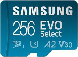 Samsung EVO Select 256GB-1689054903083