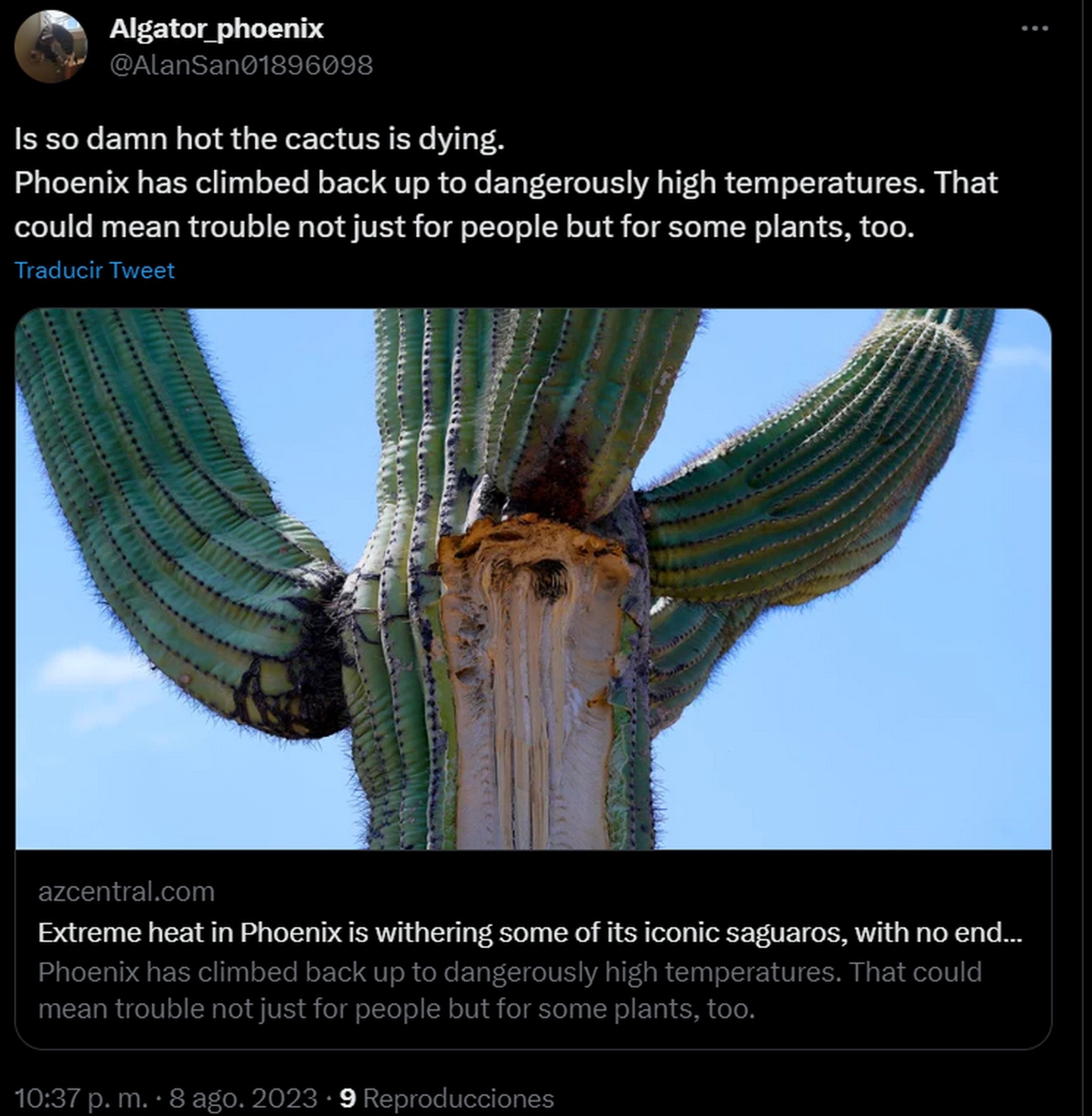Cactus muriendo en Arizona