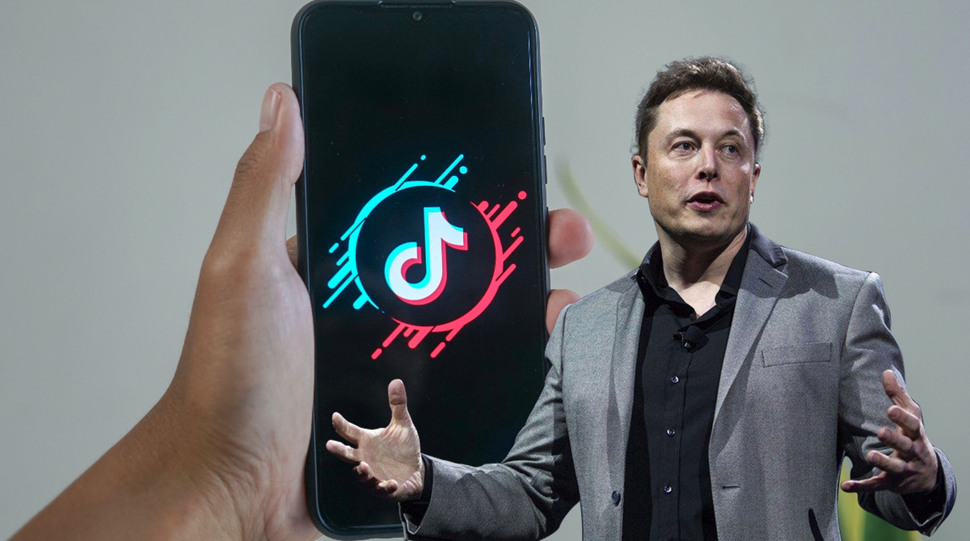 Elon Musk TikTok
