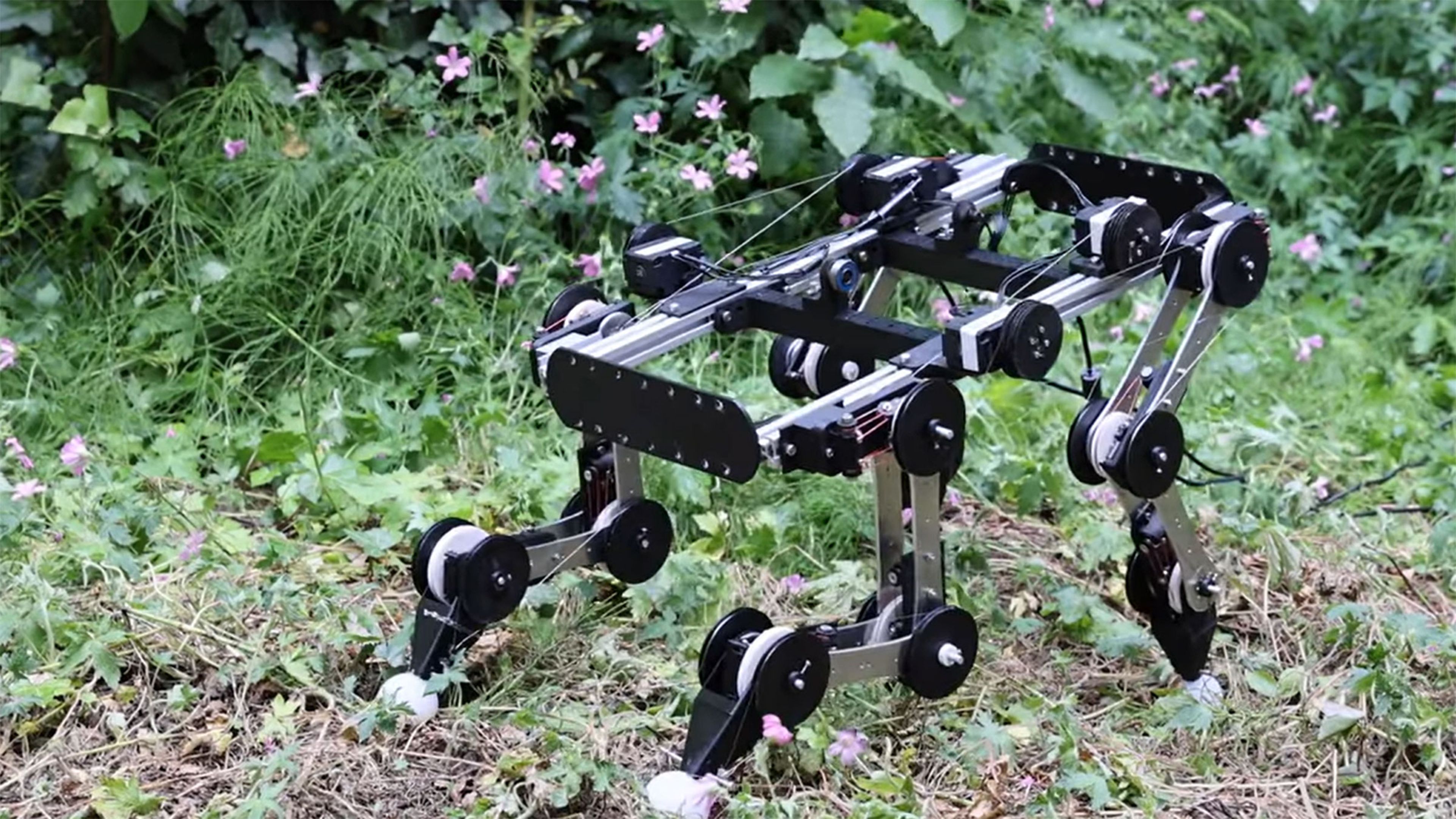 Esta especie de perro robot sigue funcionando por sí solo una vez que se ha puesto en marcha