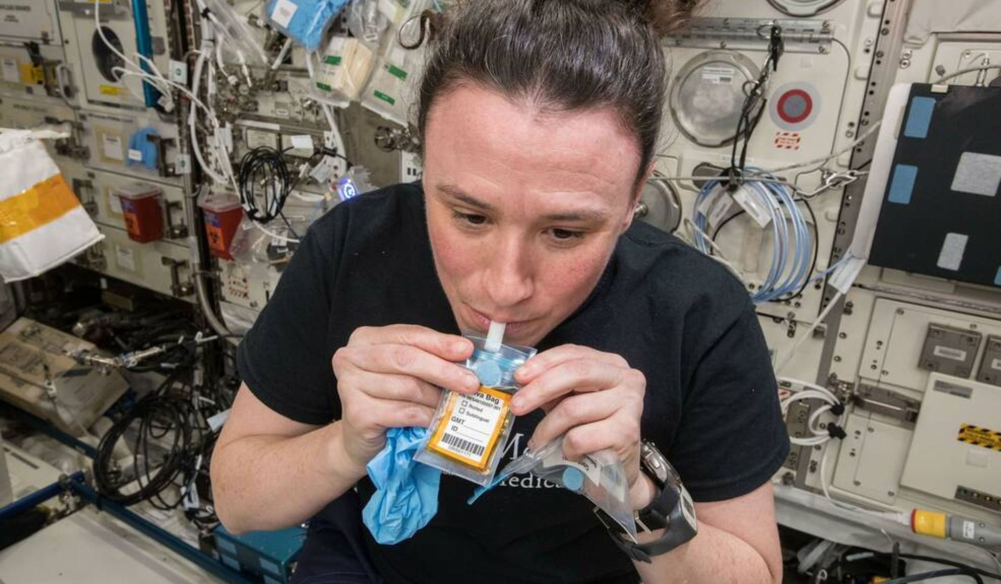 NASA astronaut Serena Auñón-Chancellor collects saliva, one of the many types of samples used for CIPHER’s examination of human response to space. Credits: NASA