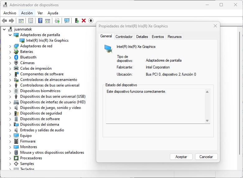 Windows 10 best sale ver tarjeta grafica