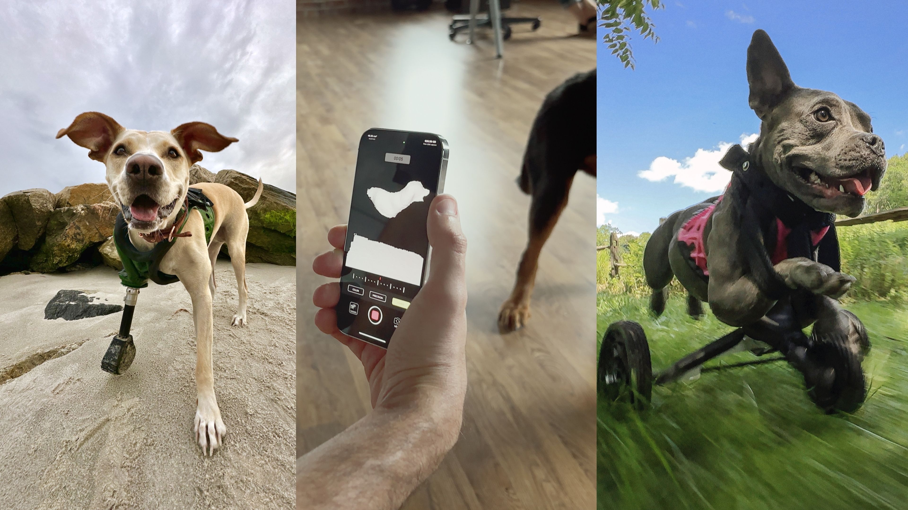 La tecnología de tu iPhone que permite crear prótesis 3D para perros y que vuelvan a andar