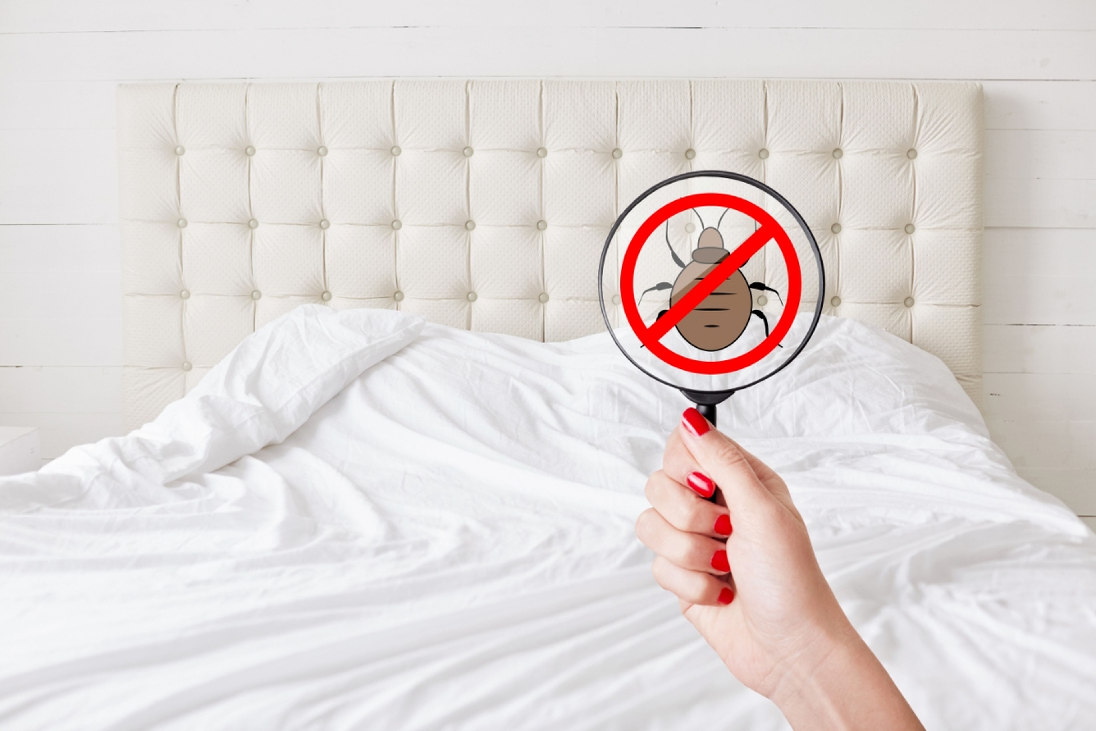 3 señales de alerta que pueden indicar que un apartamento de alquiler no está completamente limpio