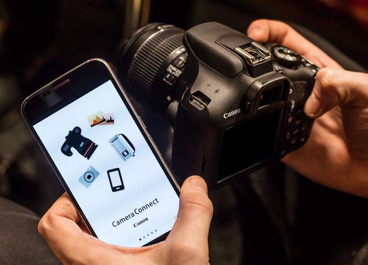 These are the best beginner SLR cameras you can buy Gearrice