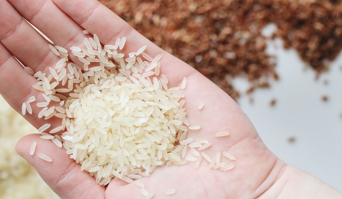 Science settles the debate is it necessary to wash rice before cooking