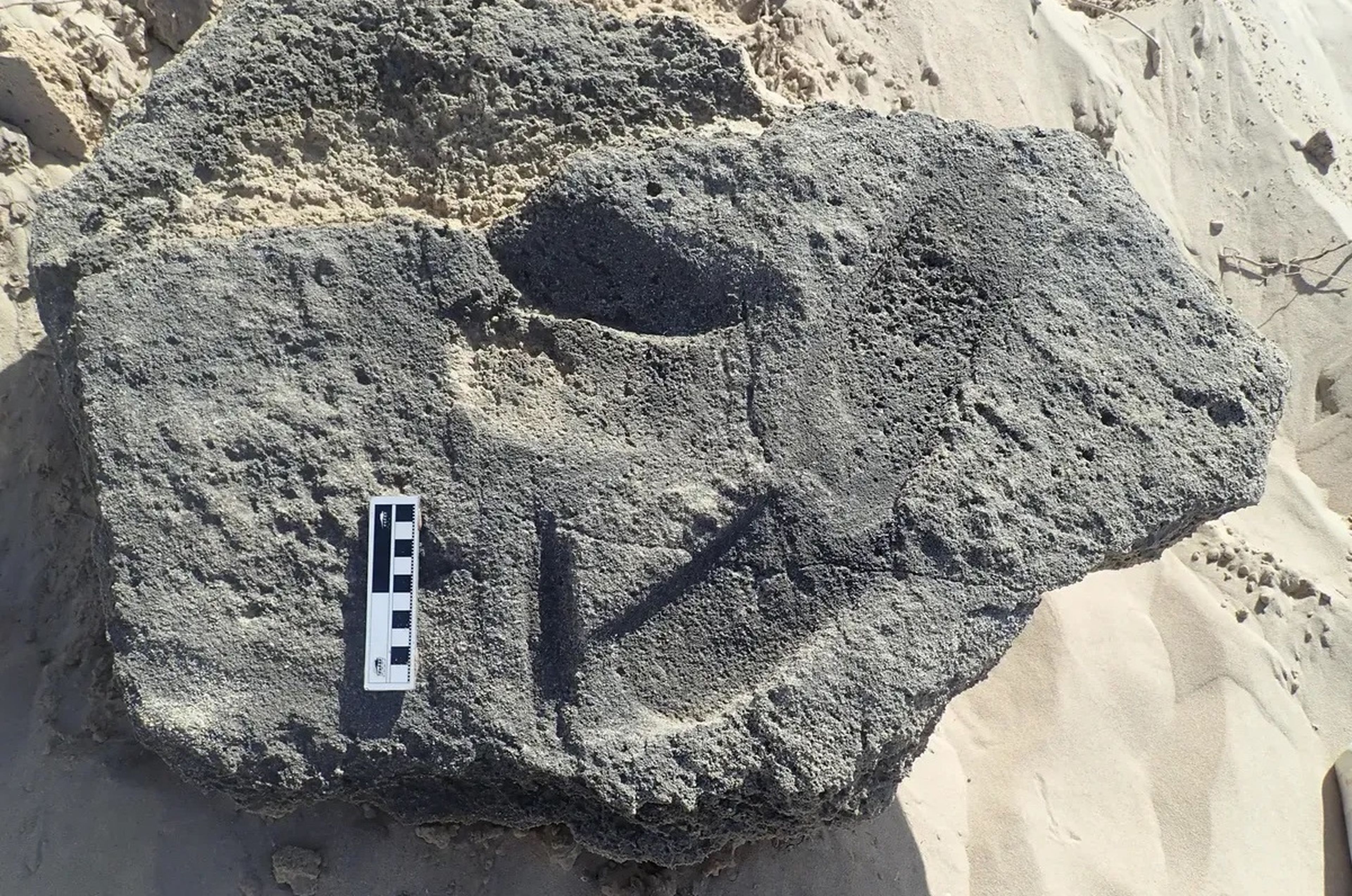 Descubrimiento impactante: algunos homínidos vestían sandalias hace 148.000 años