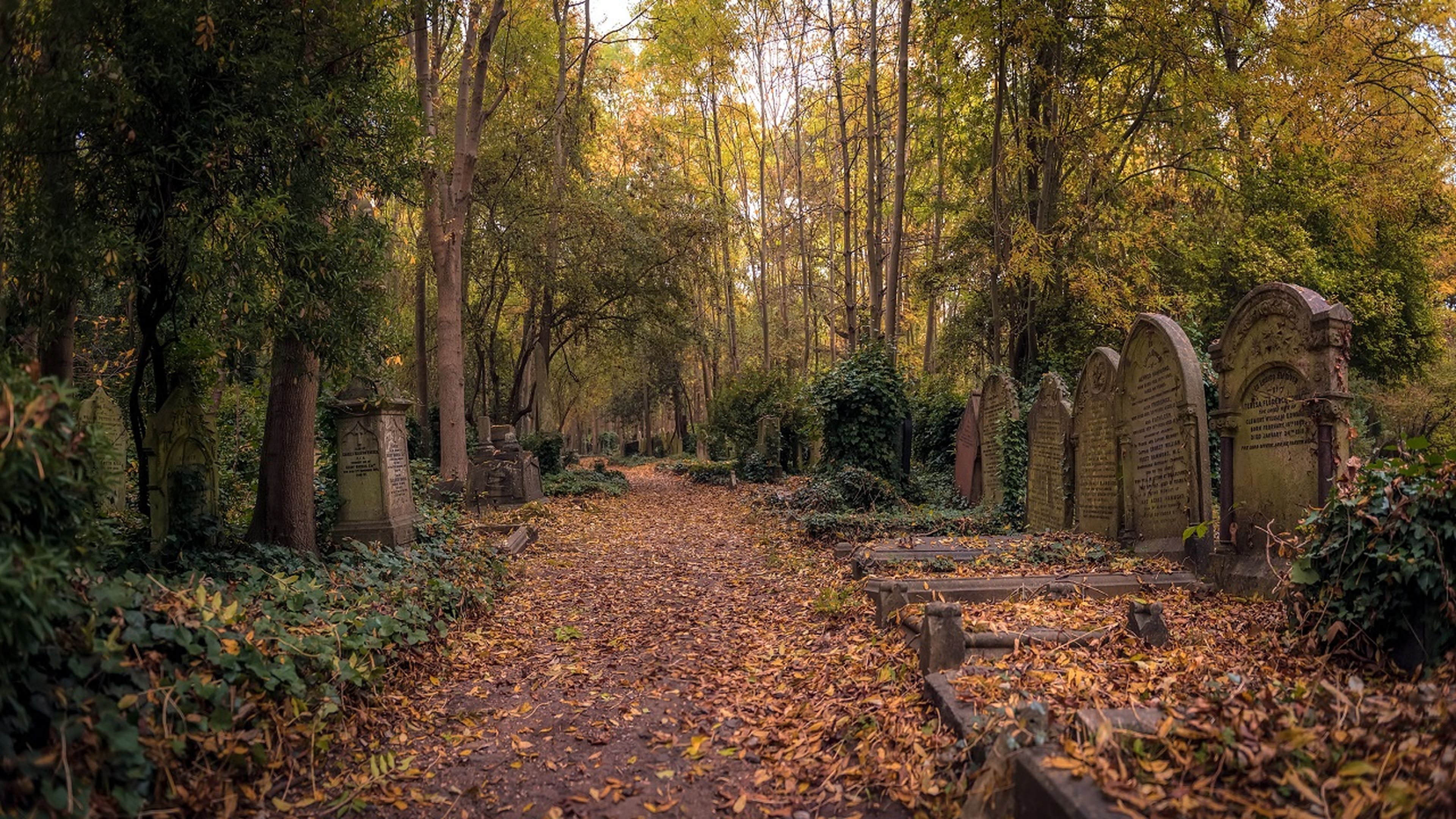 De película de terror: así son los cementerios más siniestros del mundo