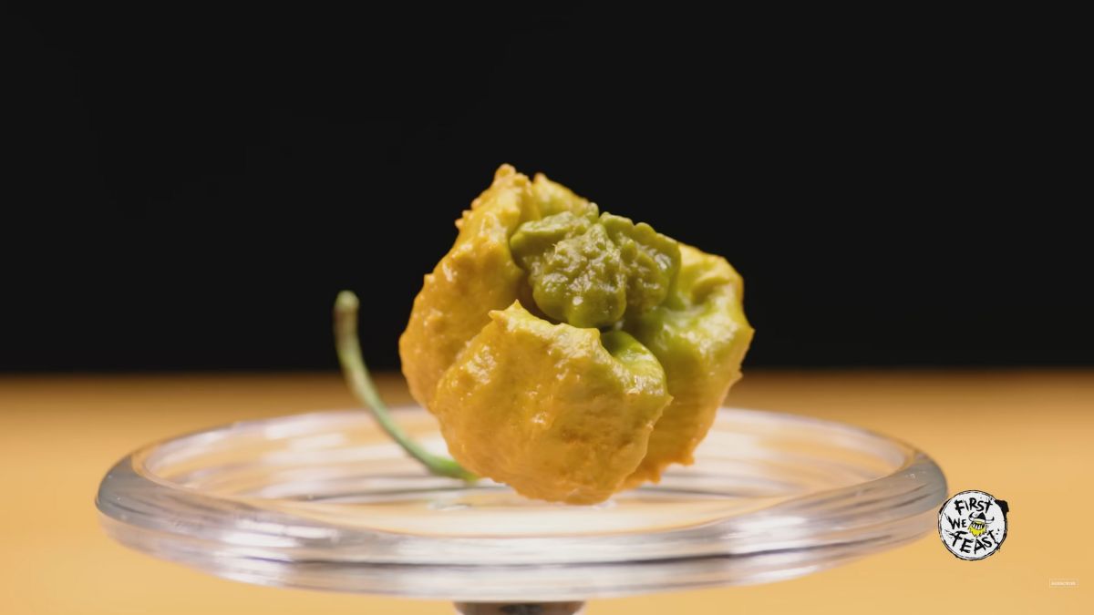Pepper X Is The New Hottest Chili In The World, Few Dare To Try It GEARRICE