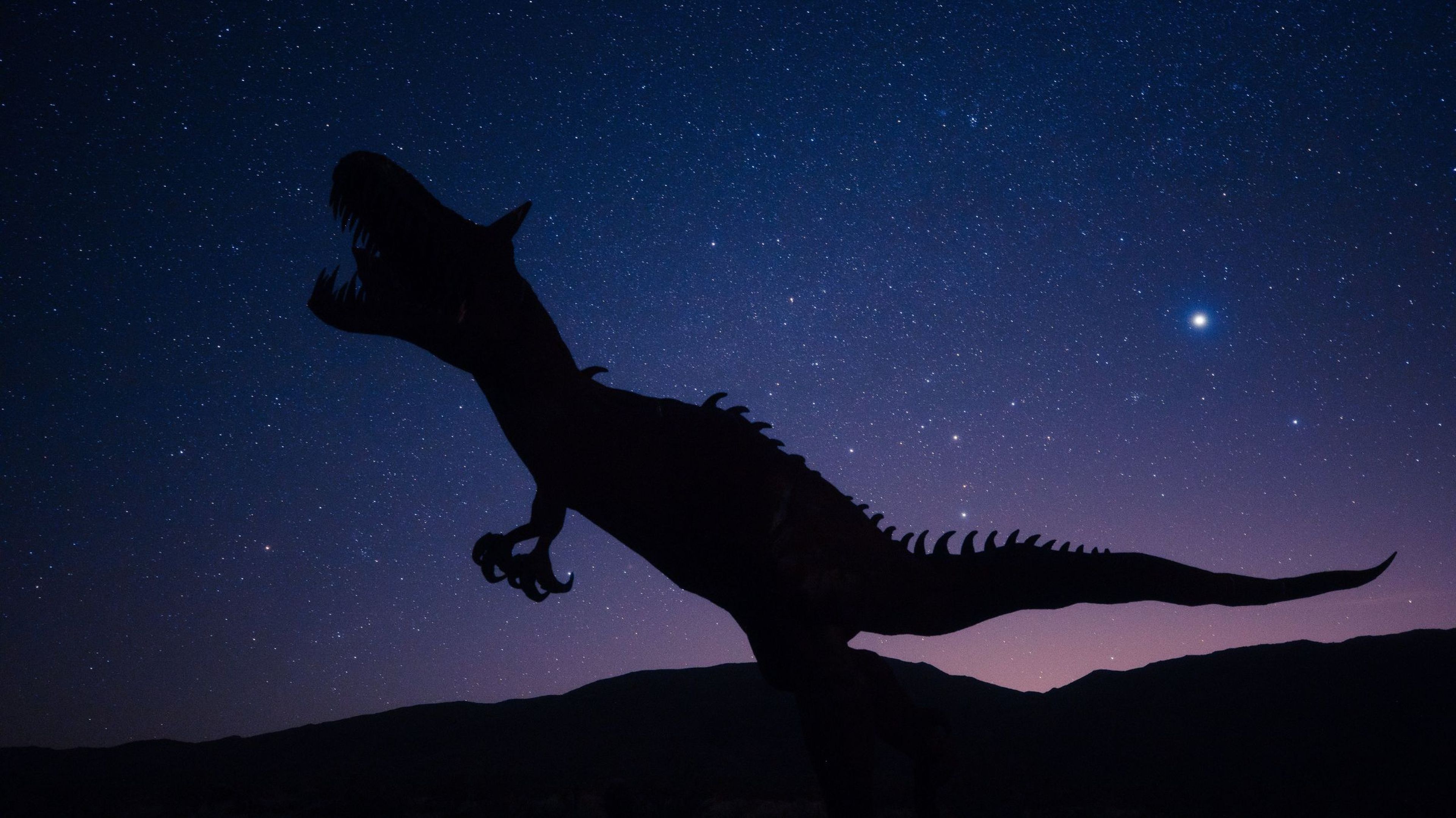 El polvo después del impacto y no el meteorito acabó con los dinosaurios: provocó 20 años de invierno sin apenas luz