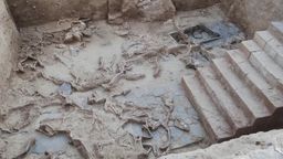 Descubren miles de huesos de 52 animales diferentes en una fosa de sacrificios de la Edad de Hierro, en Badajoz