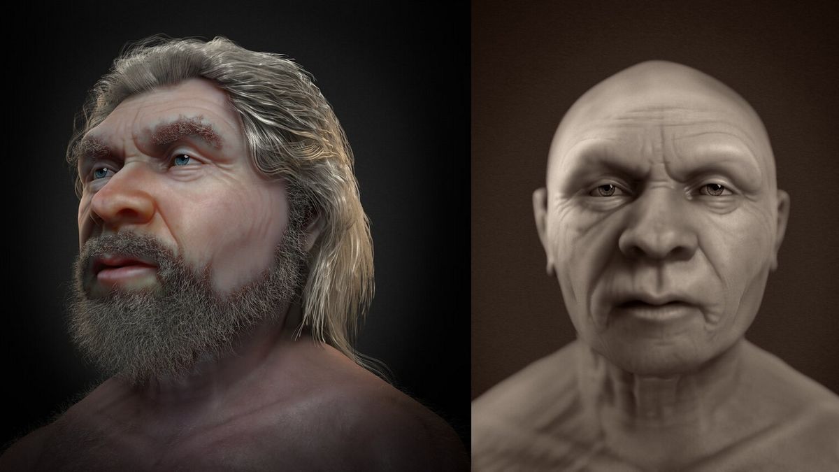 They reconstruct the face of a 60-year-old Neanderthal, and it is ...