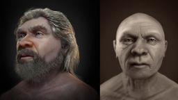 Reconstruyen el rostro de un Neandertal anciano de 60 años, y es sorprendentemente parecido a nosotros