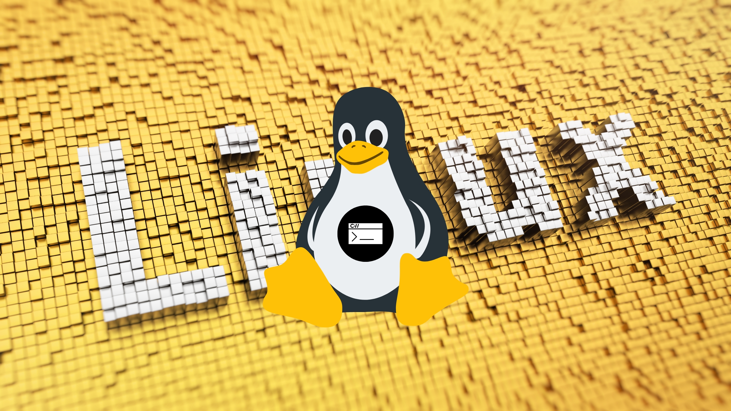 ¿Cuáles Son Las Mejores Distribuciones Linux De 2024?