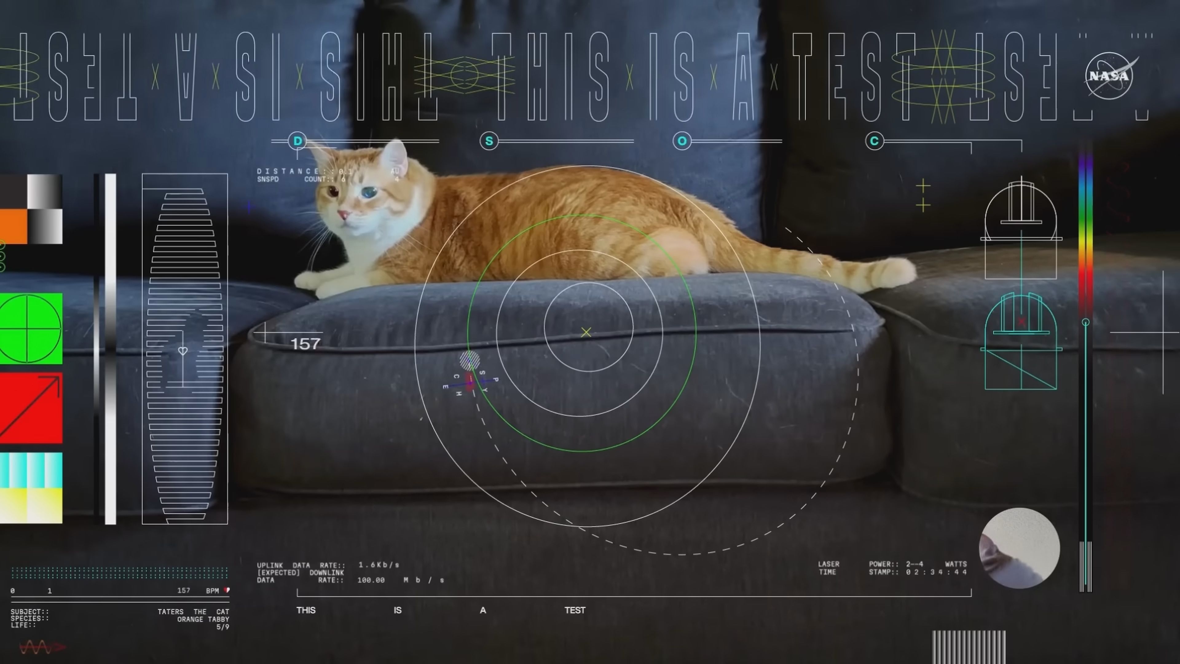 La NASA recibe un streaming del espacio profundo, a 31 millones de Kilómetros, y cómo no, es de un gato