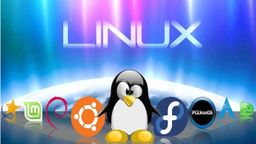Las 10 mejores distribuciones Linux de 2024 para cada tipo de usuario