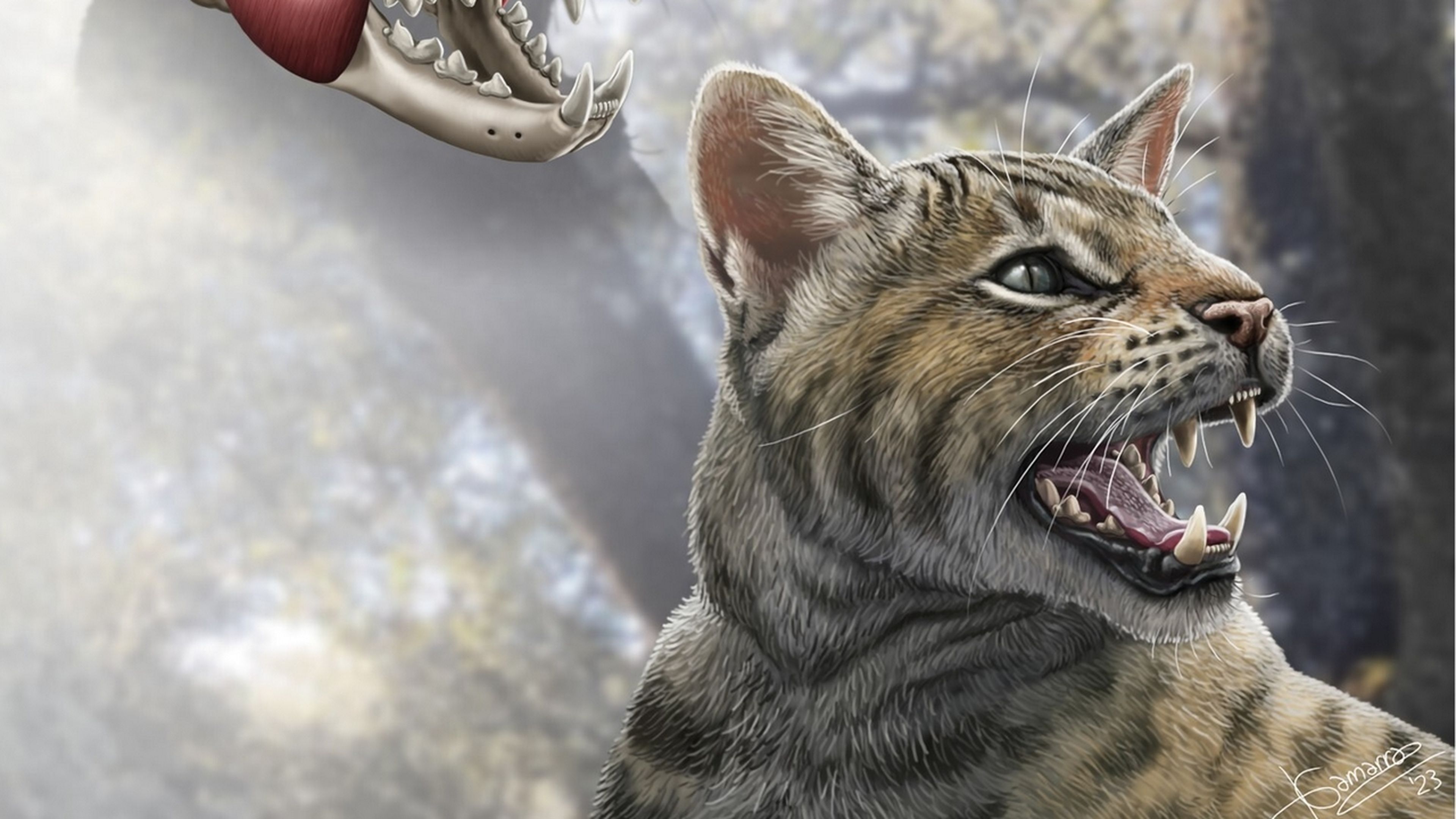 Descubren en Madrid una nueva especie de gato prehistórico de hace 15 millones de años
