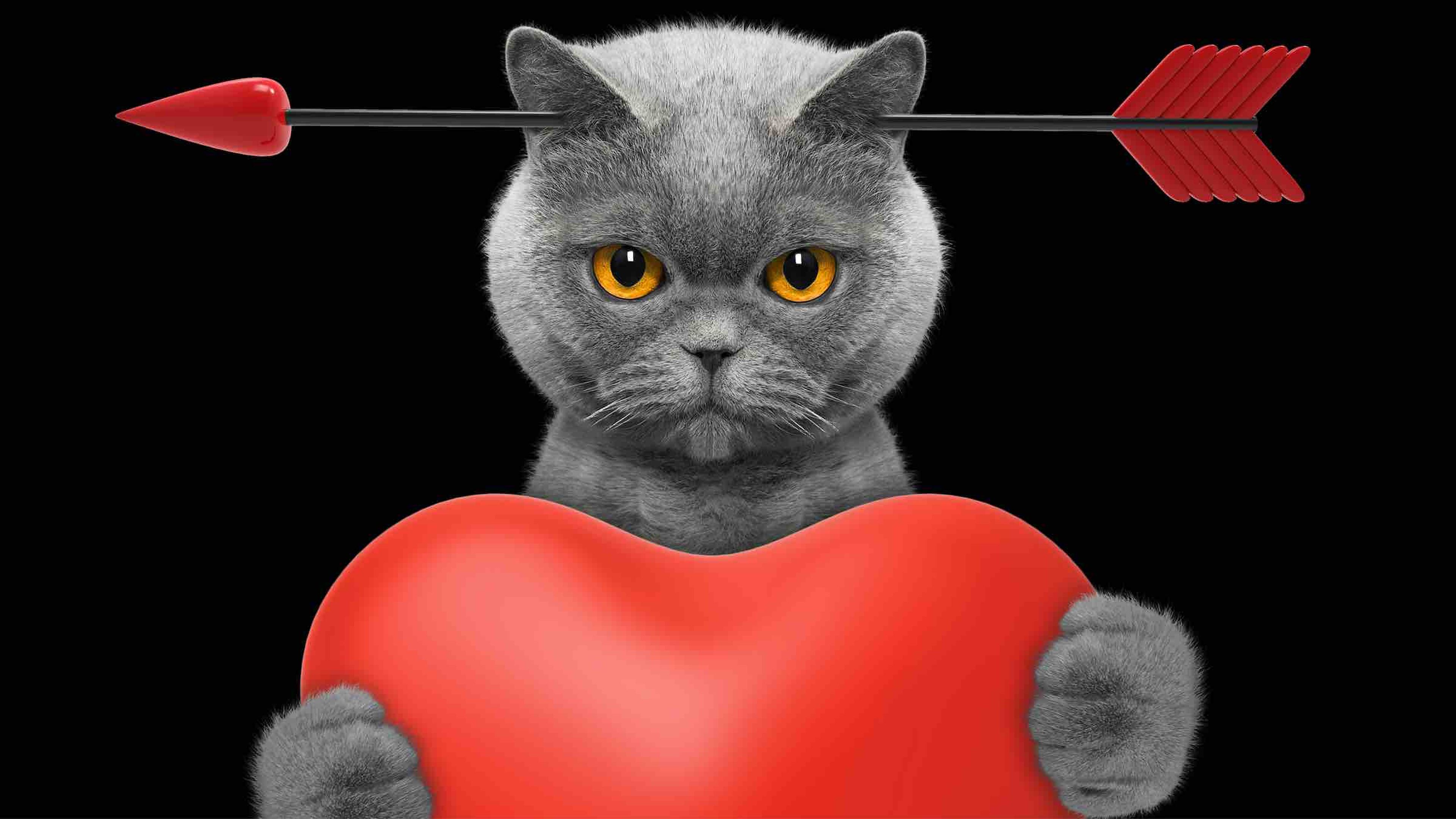 Dibujo de un gato con un corazón y una flecha