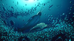 Este gusano "gigante" aterrorizó los mares hace 500 millones de años