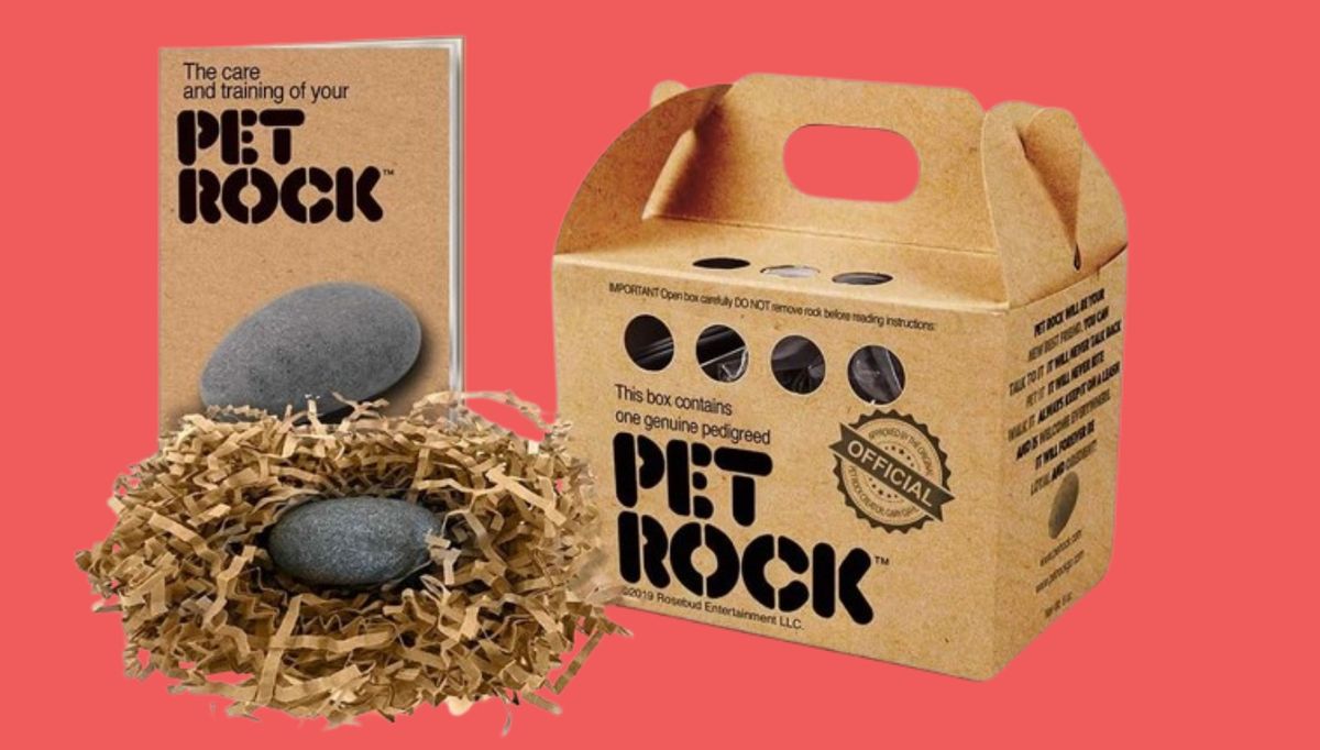 The case of Pet Rock, the joke of taking care of a stone that ended up making its creator a
