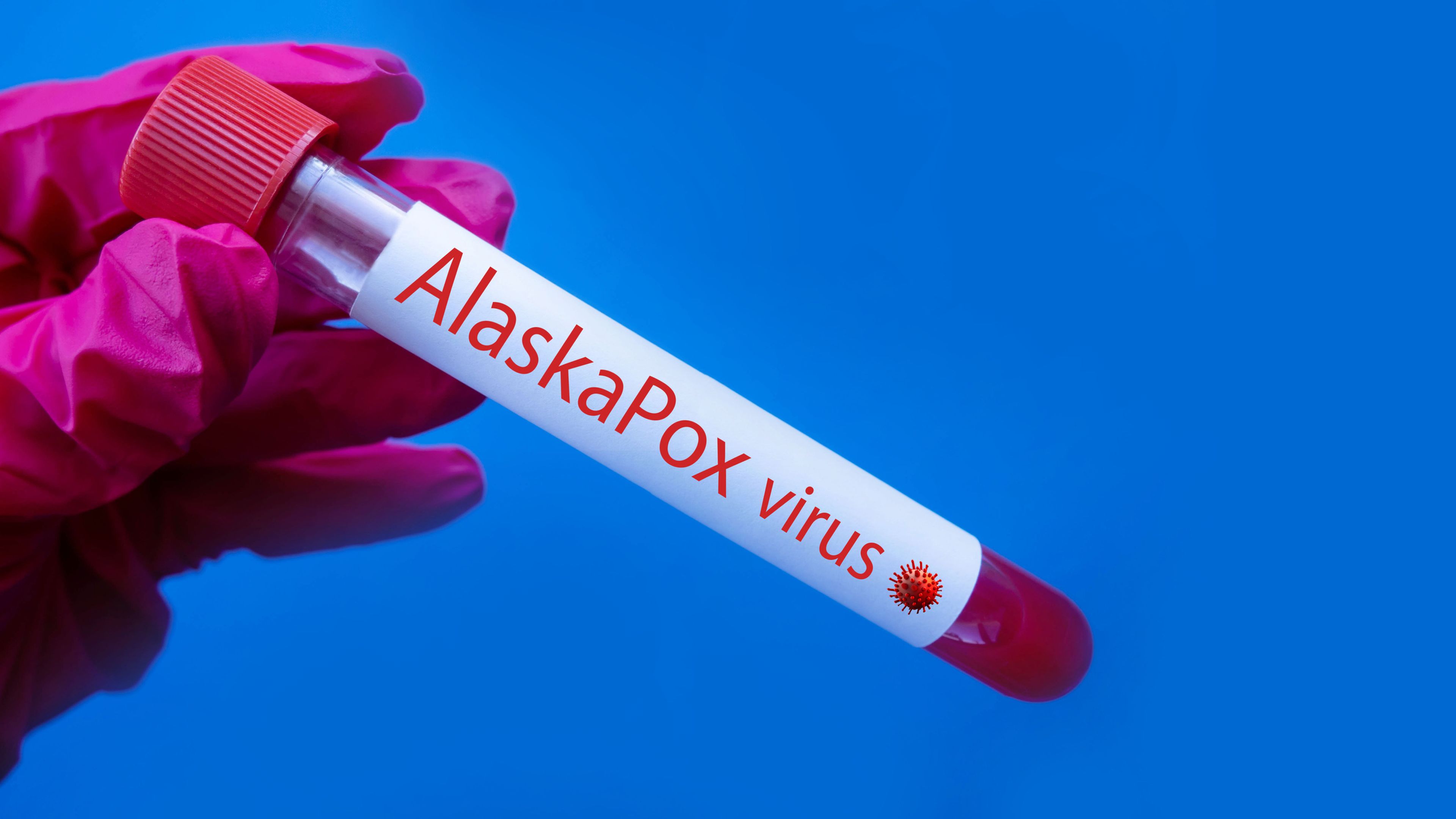 Alaskapox