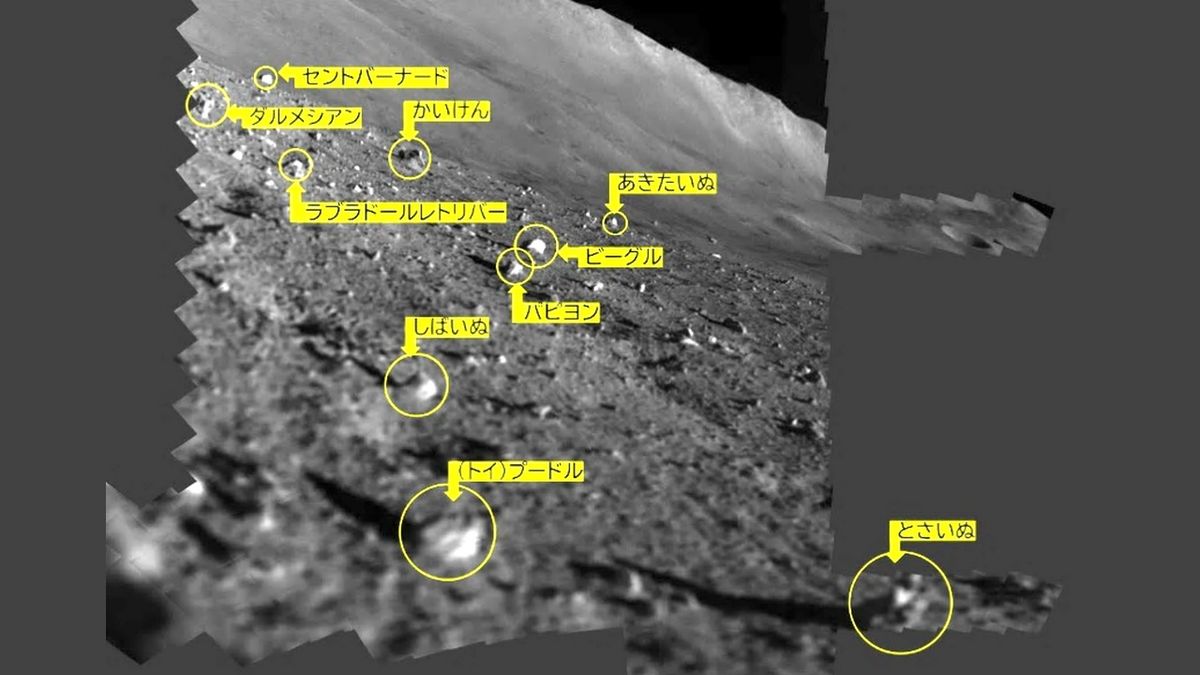 Belly up Japanese lunar module continues to take photographs on the Moon