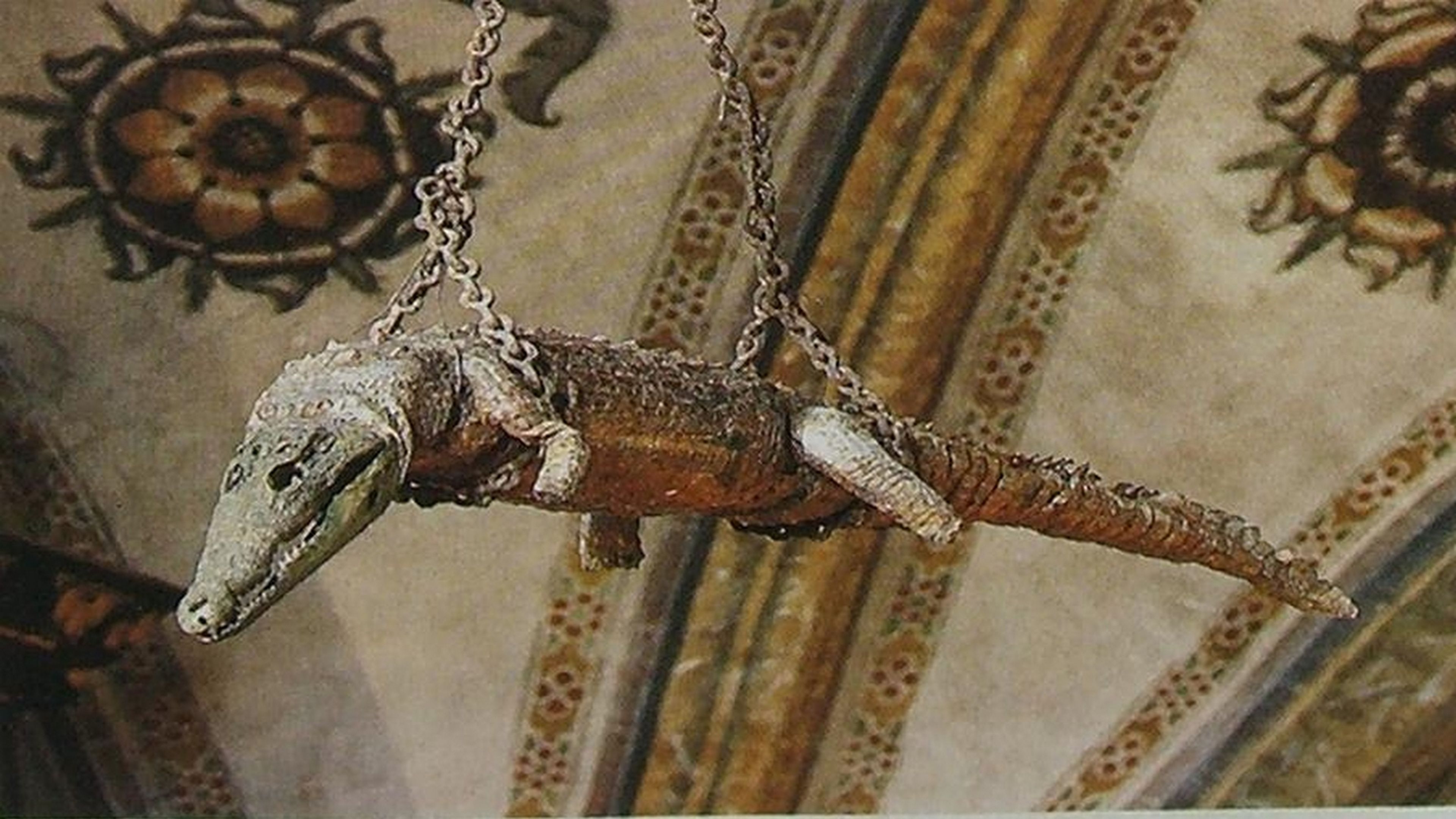 Por qué en esta iglesia italiana un cocodrilo cuelga del techo desde hace 500 años