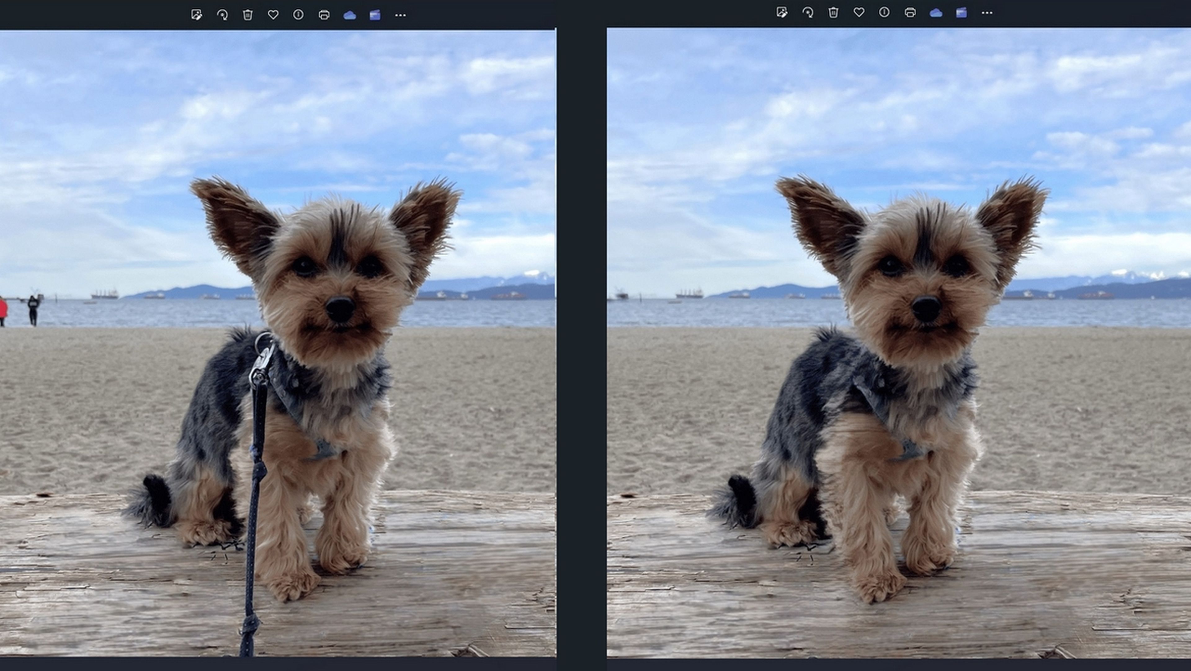Microsoft añade el Borrado Generativo con IA a la aplicación Fotos en Windows 10 y 11