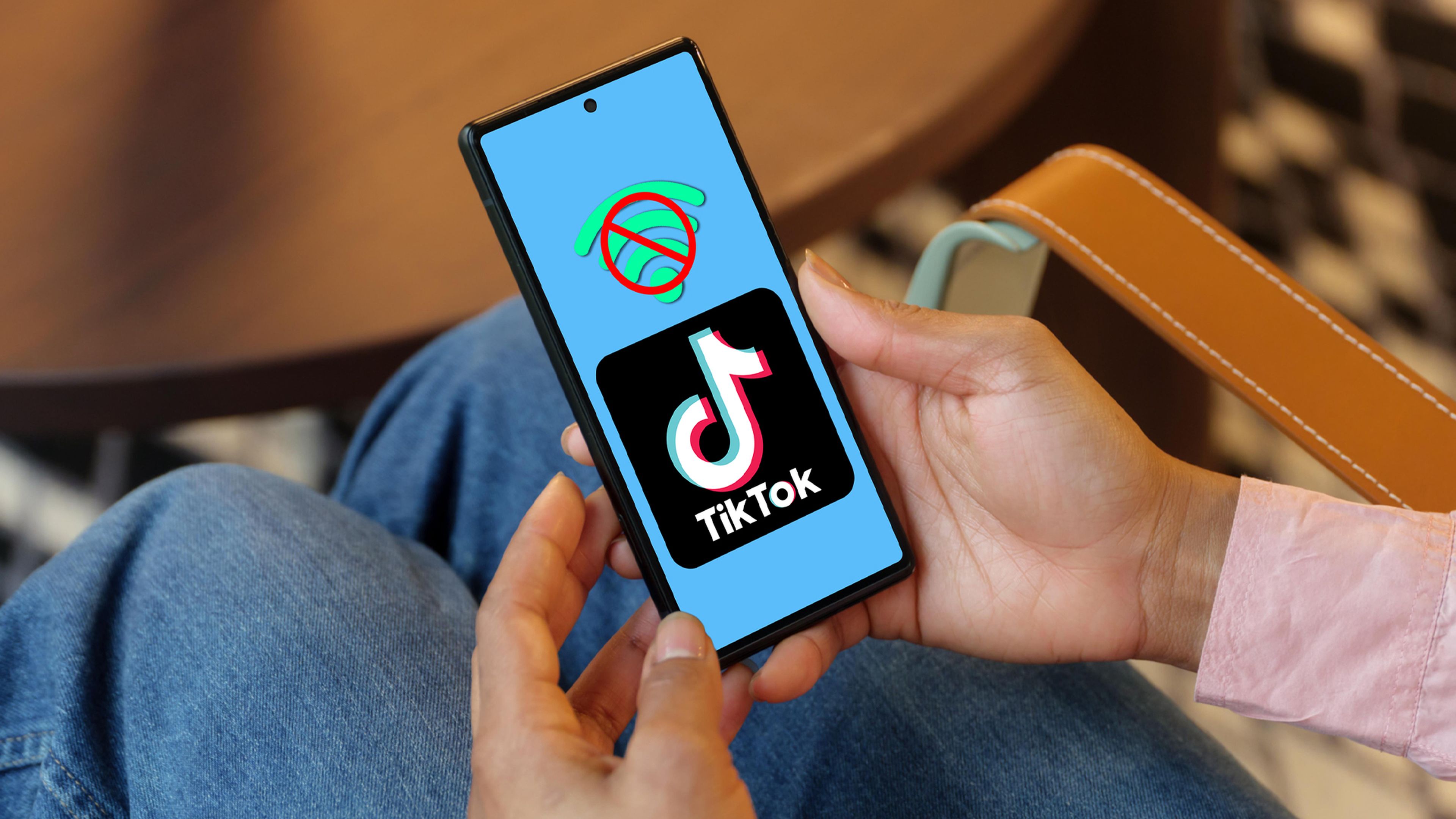 Videos de TikTok sin conexión
