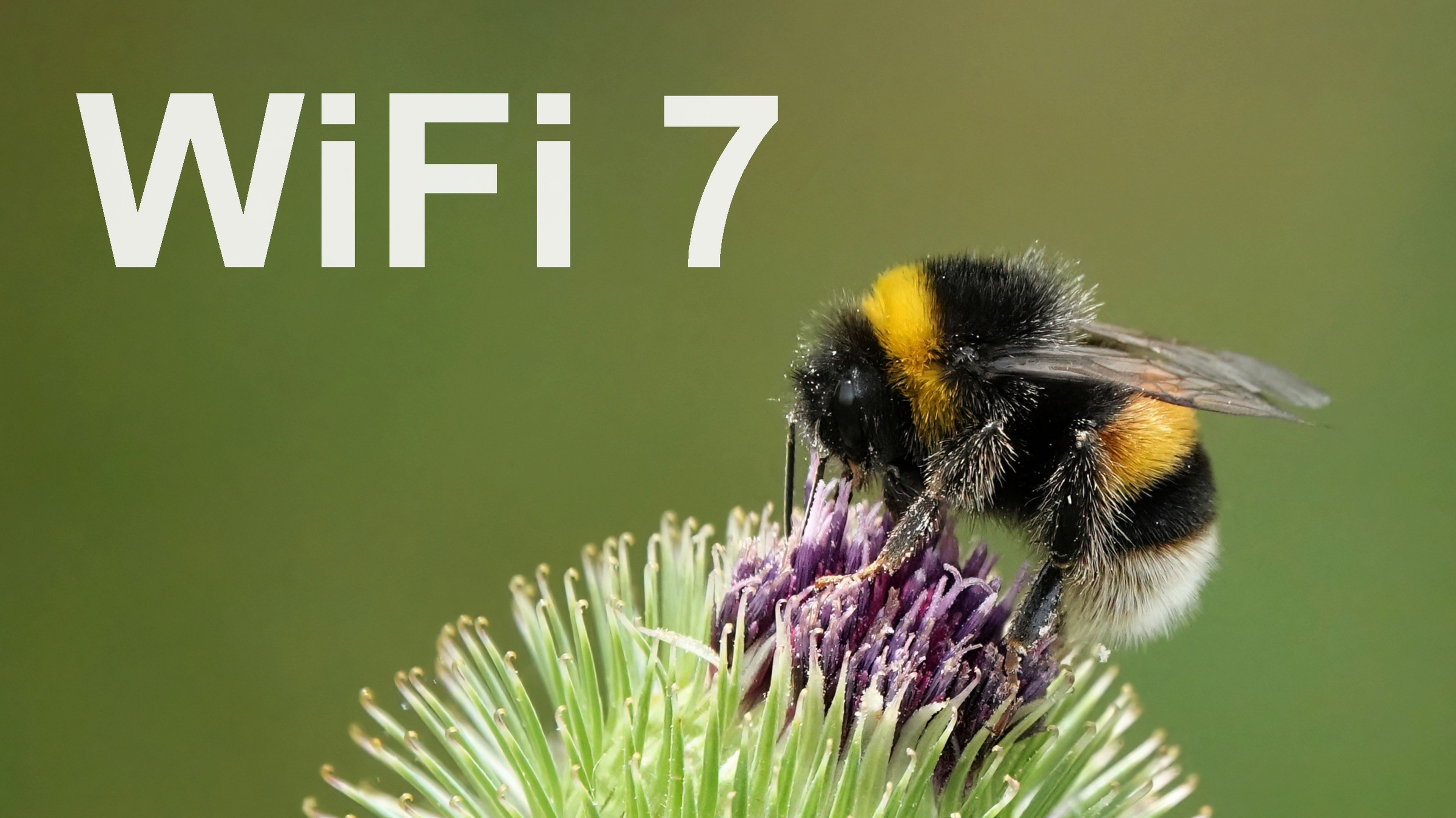 Las claves de WiFi 7, la conexión "abeja"
