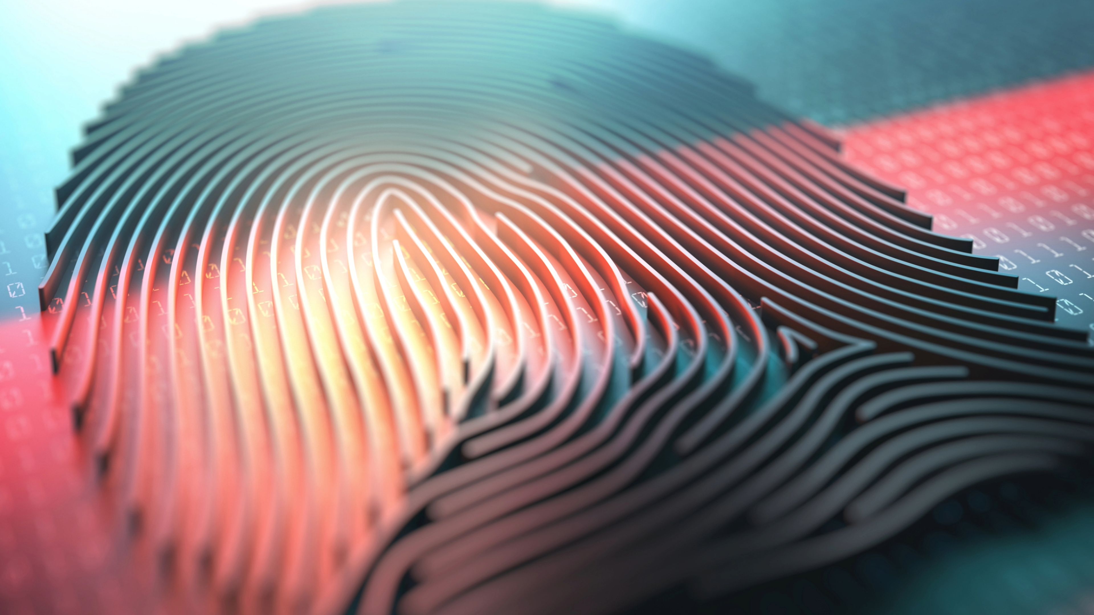 Biometria ciberseguridad
