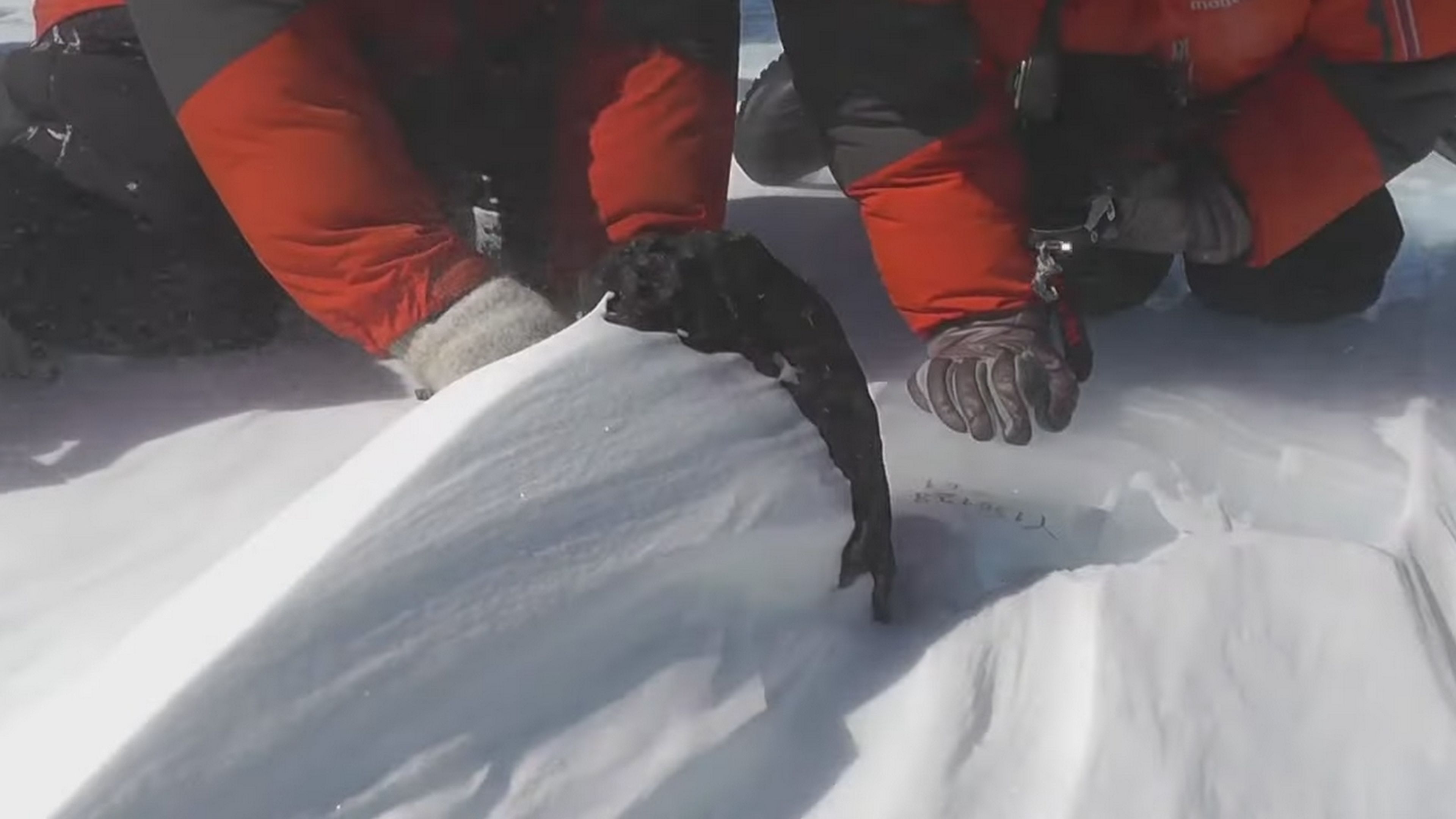 Miles de meteoritos están a punto de perderse en la Antártida