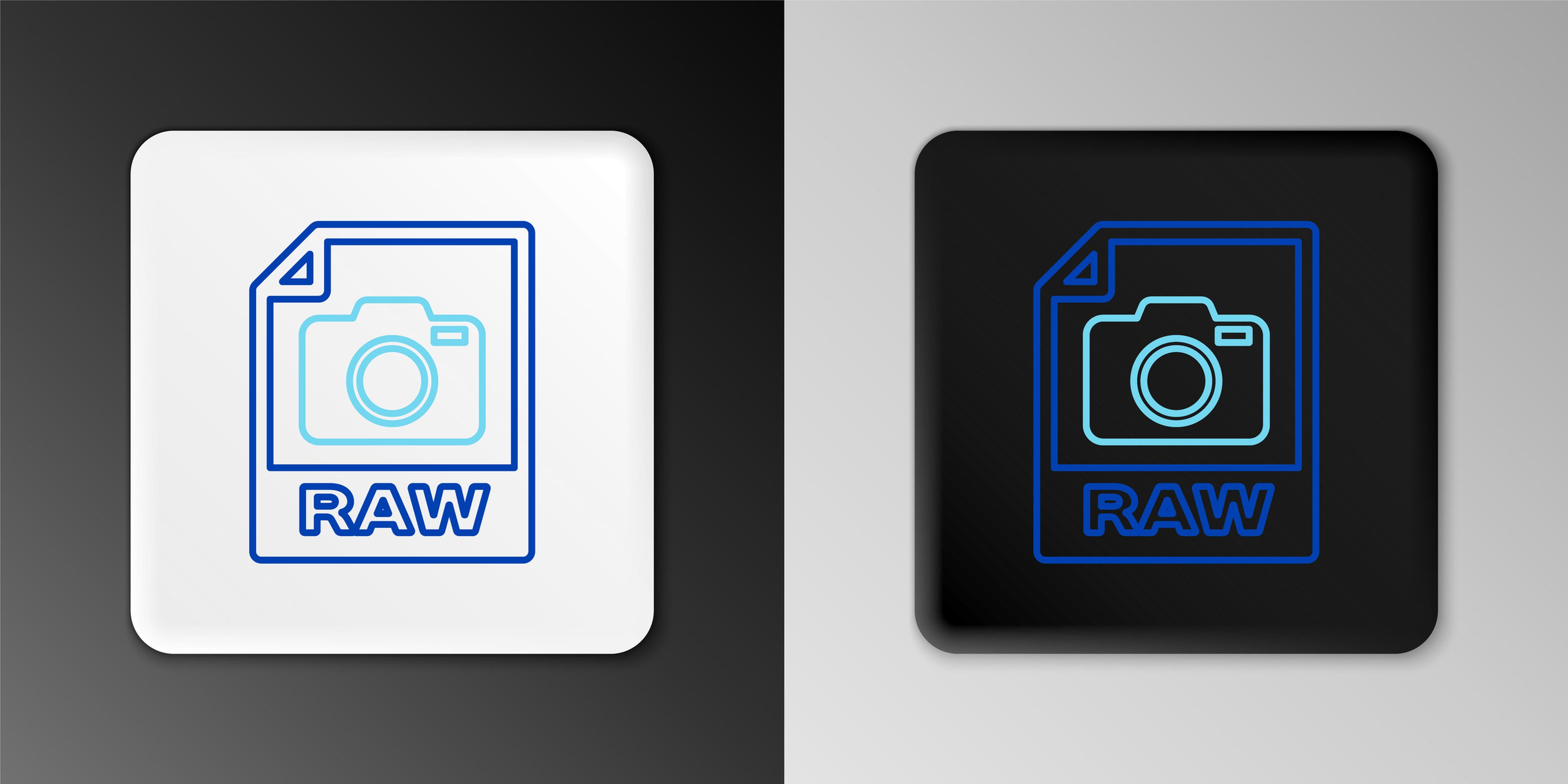 RAW fotografía cámara formato archivo