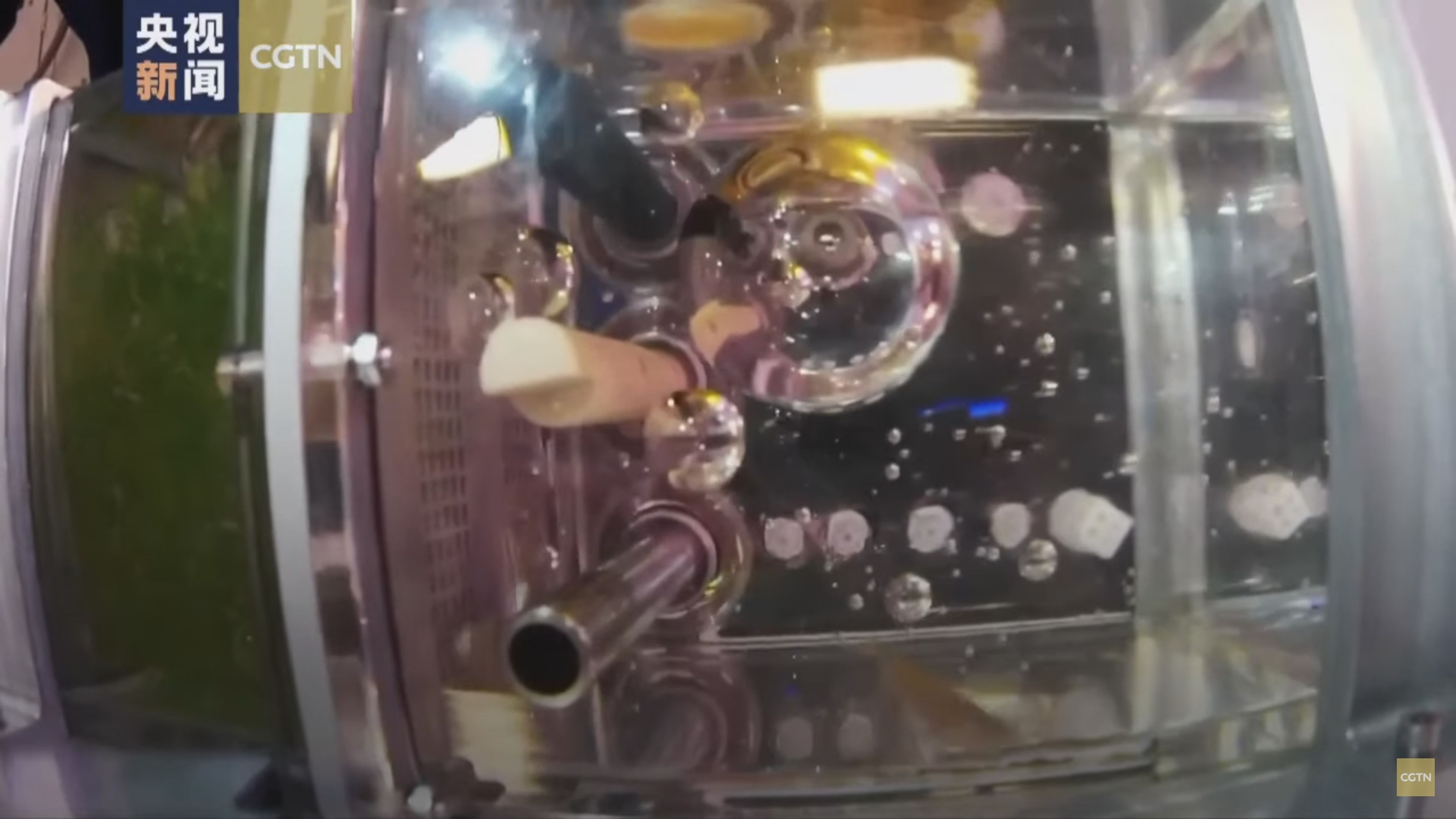 Un vídeo muestra los cuatro "acuastronautas" que llevan 20 días en la estación espacial china