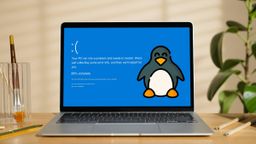 La pesadilla de los usuarios de Windows llega a Linux: "pánico en el kernel"
