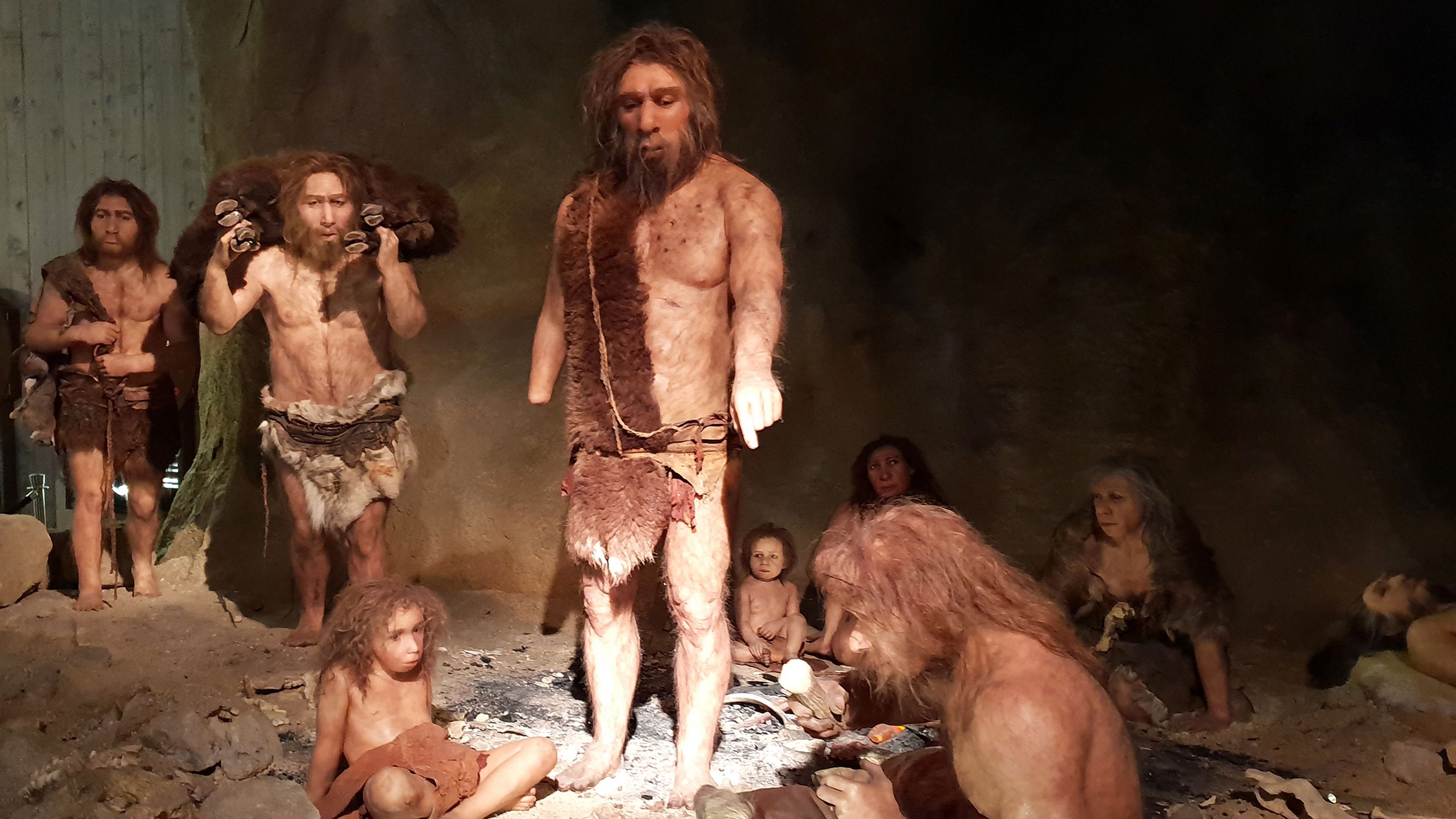 Así cocinaban los Neandertales: arqueólogos españoles preparan aves como hace 200.000 años