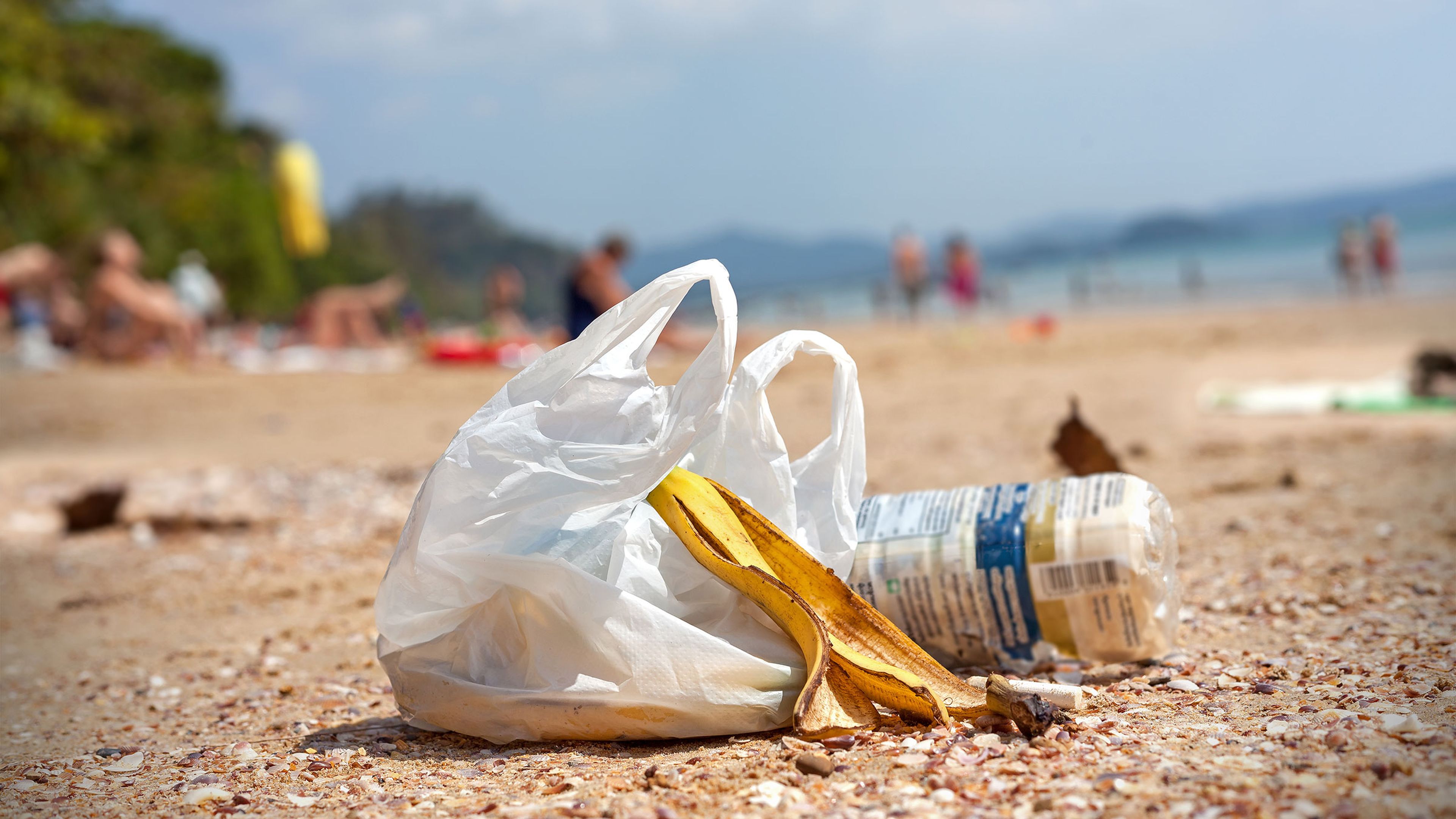 Contaminación en las playas