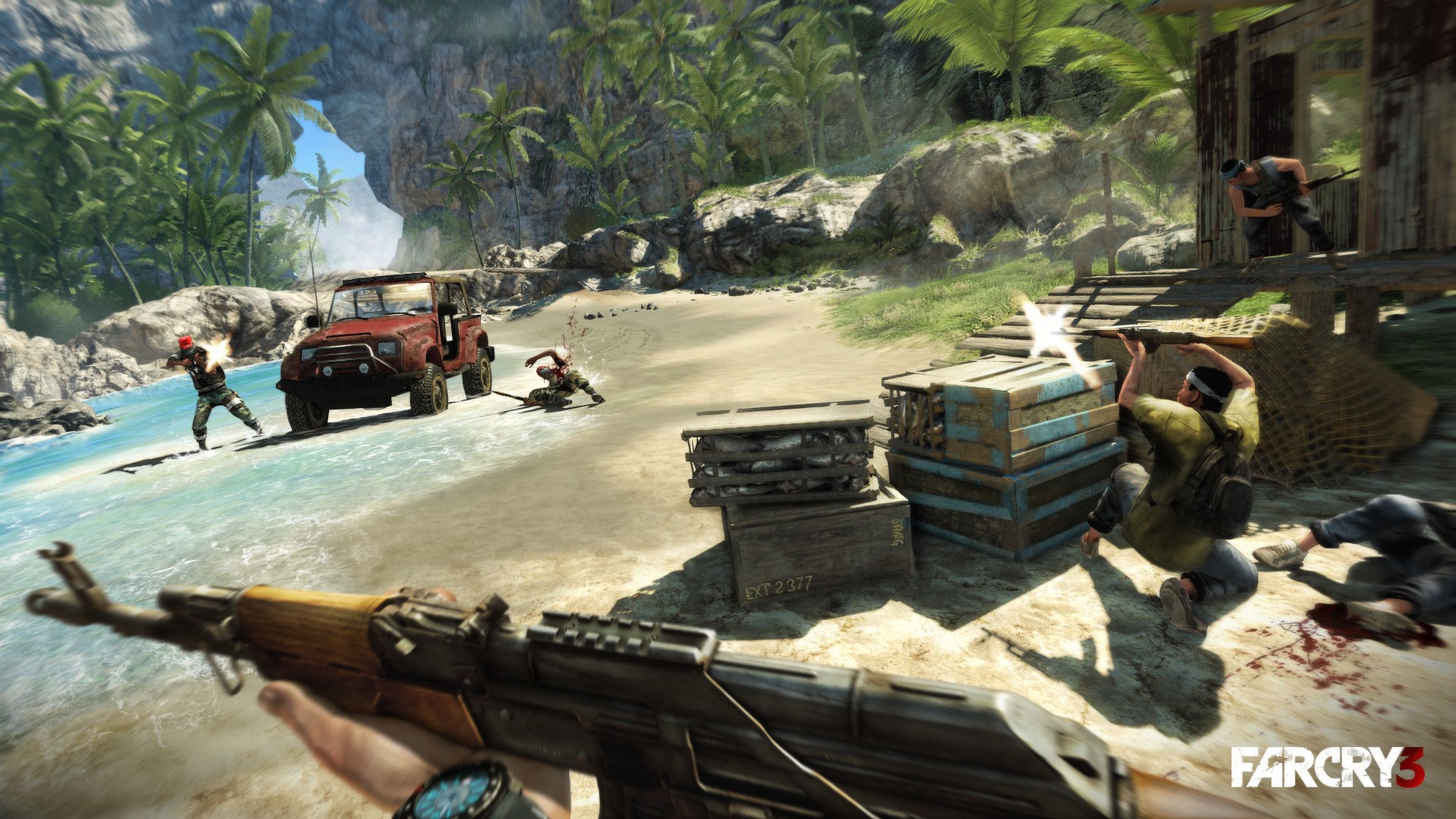 Juego Far Cry 3