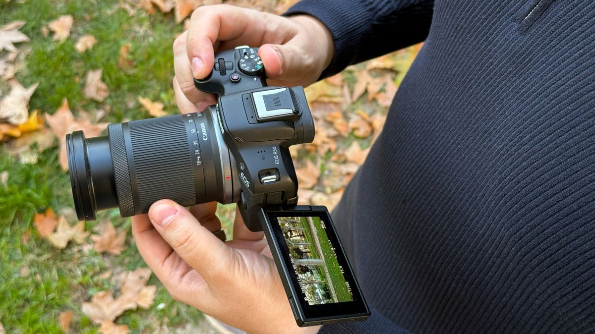 Una de las cámaras favoritas de fotógrafos profesionales y aficionados: 200 euros de descuento