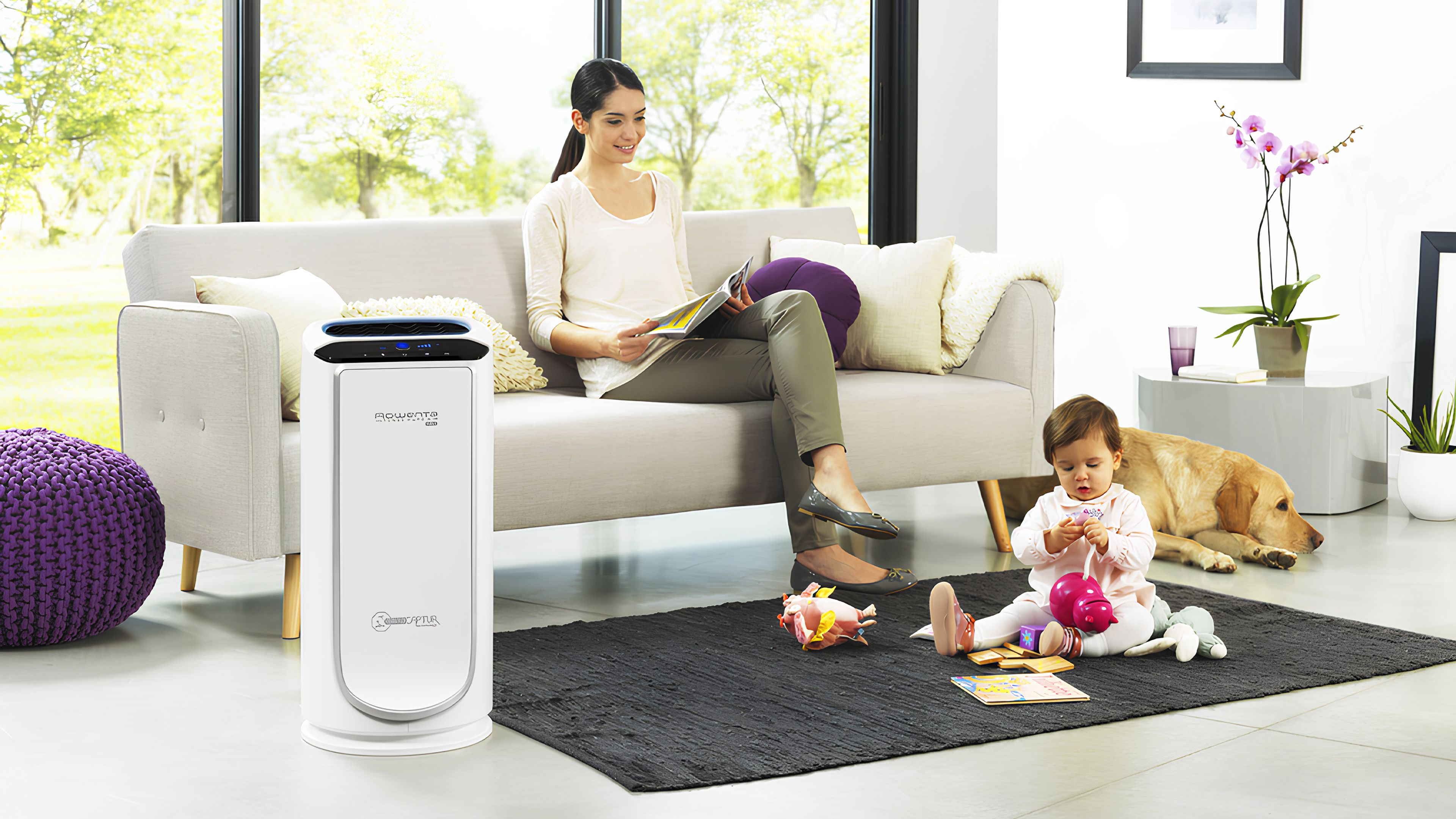 Rowenta Intense Pure Air Connect XL