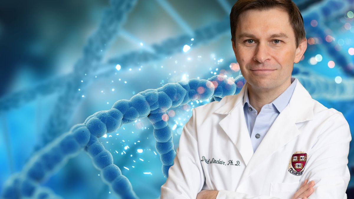 David Sinclair, científico de Harvard, confirma el descubrimiento más esperado: 
