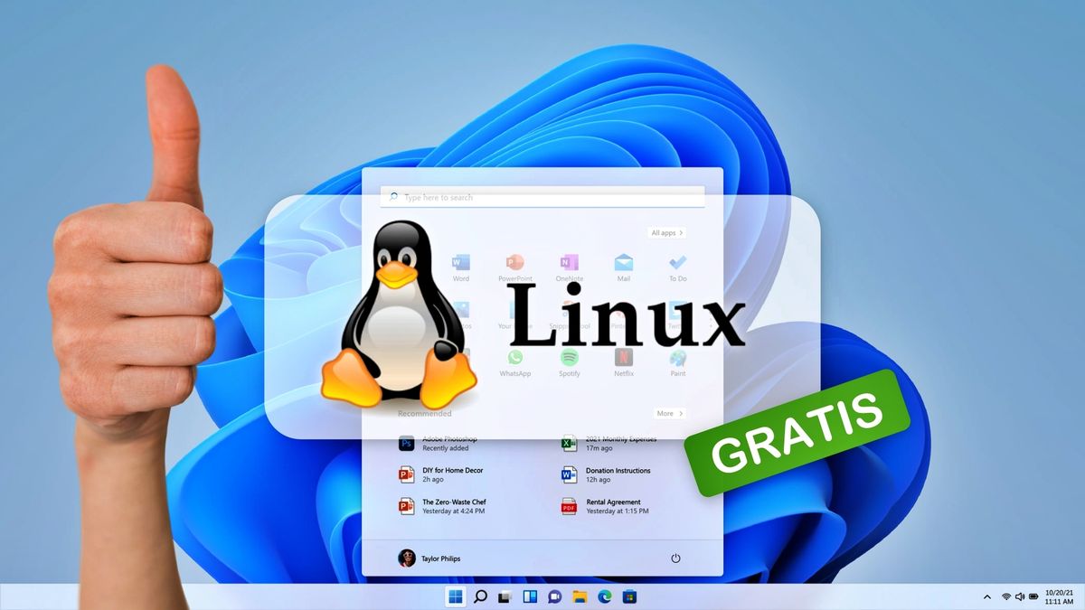 Revitalización Digital: Cómo un Clon de Windows 11 Basado en Linux Transforma PCs Obsoletos en Máquinas Modernas